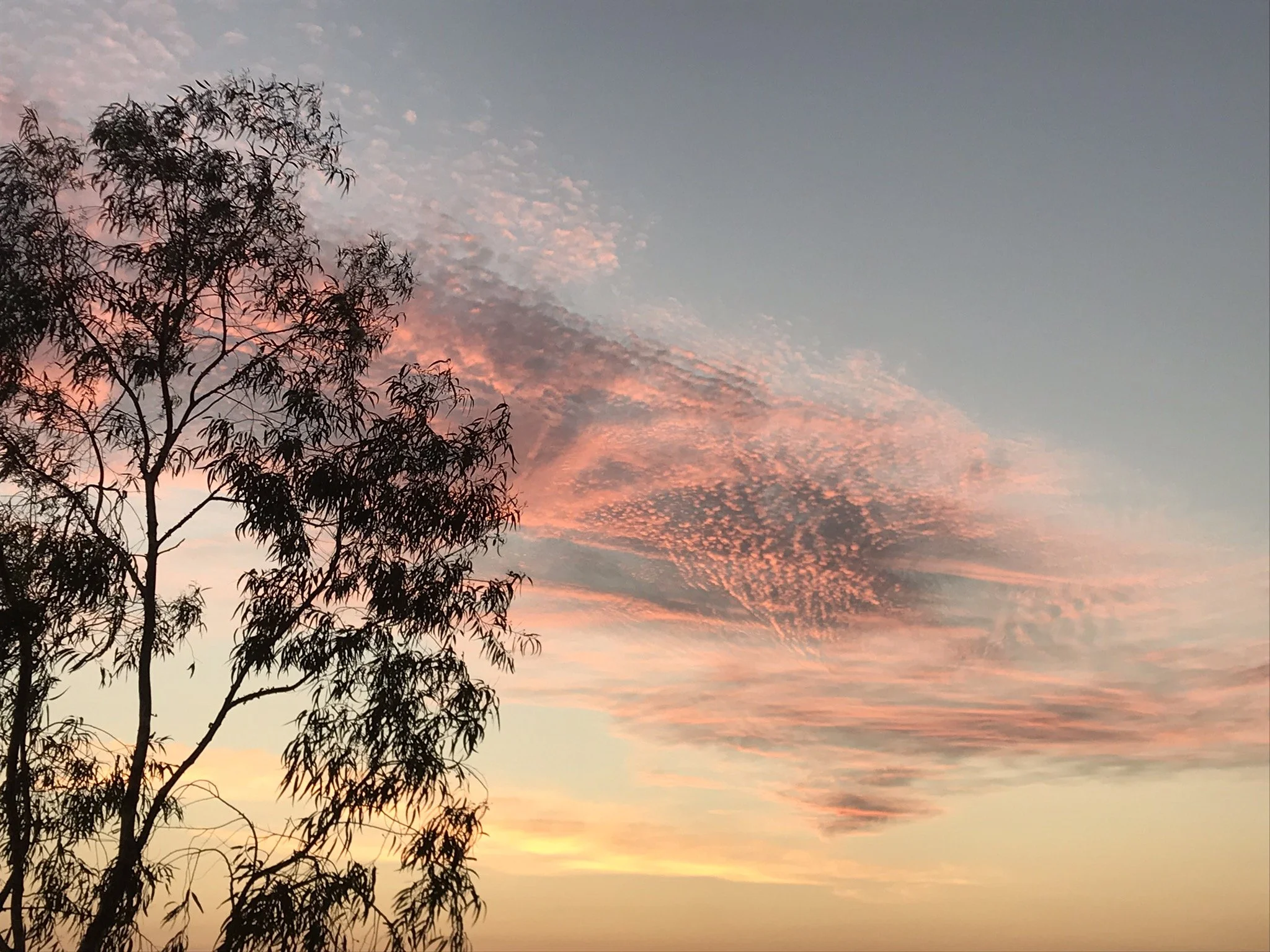 Clouds 023-IMG_2662-opt.JPEG