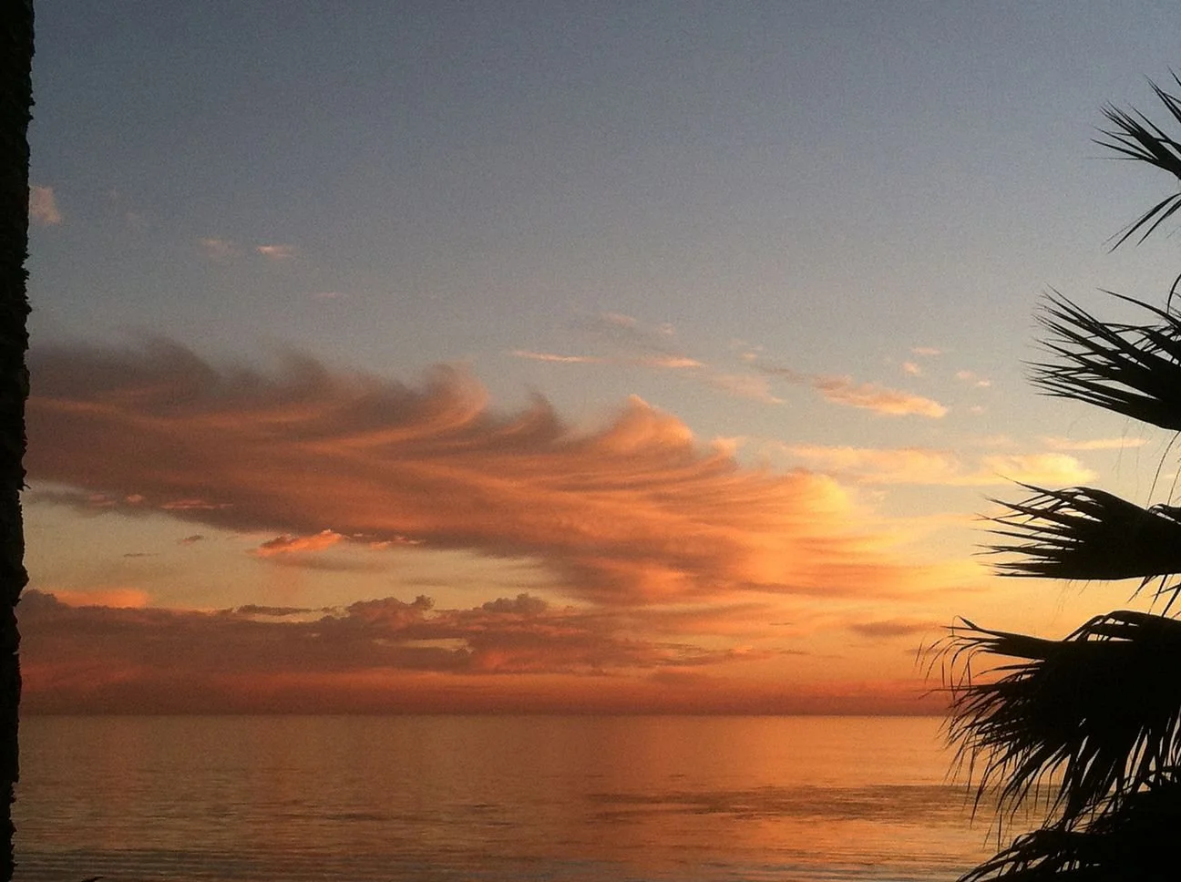 Solo-Exhibition-2026-March 2015 115