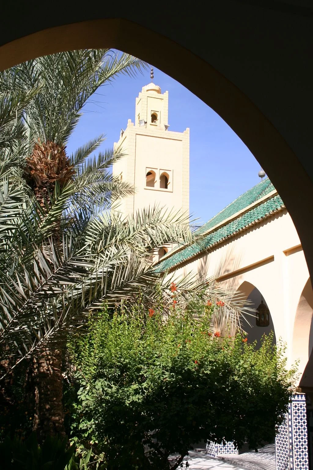 Solo-Exhibition-2026-morocco 1 153