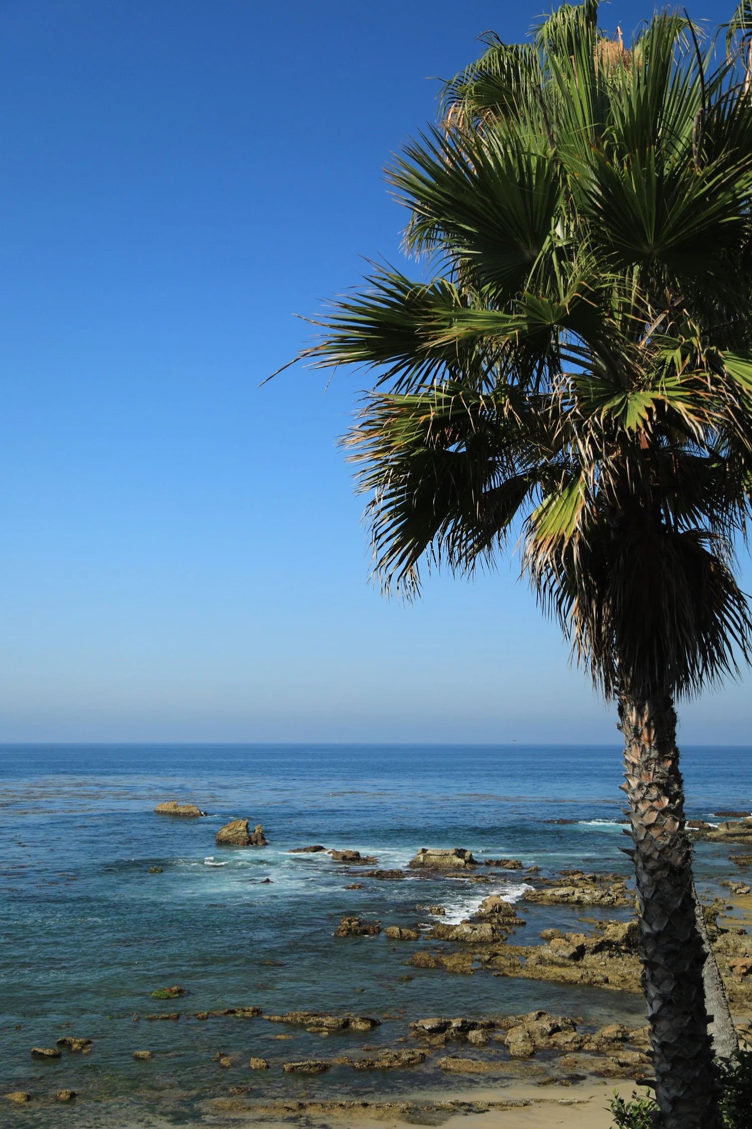 Laguna-2_CRHOADESPICS_06.jpg