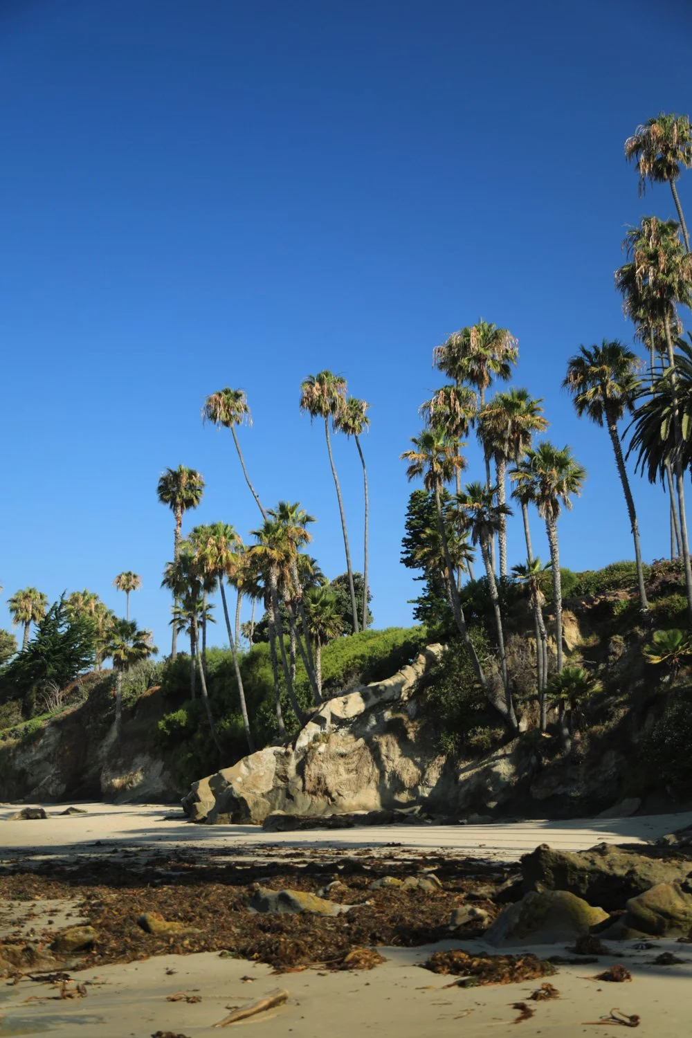 Laguna-2_CRHOADESPICS_022.jpg