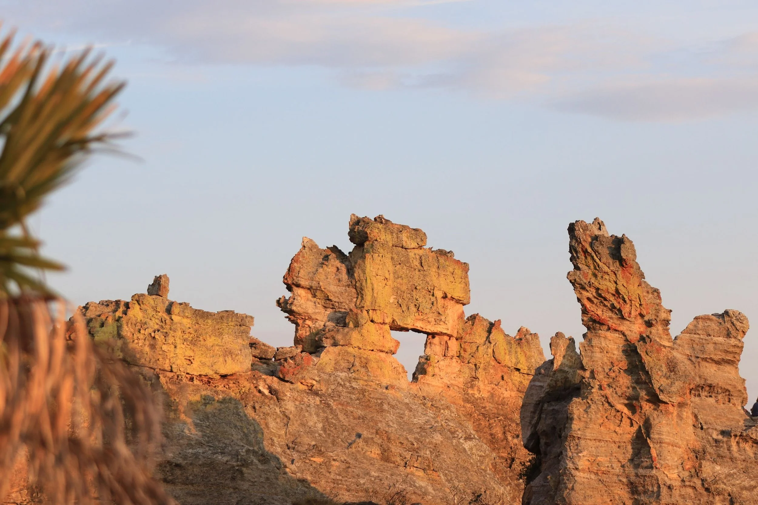 Solo-Exhibition-2026 0J9A8945