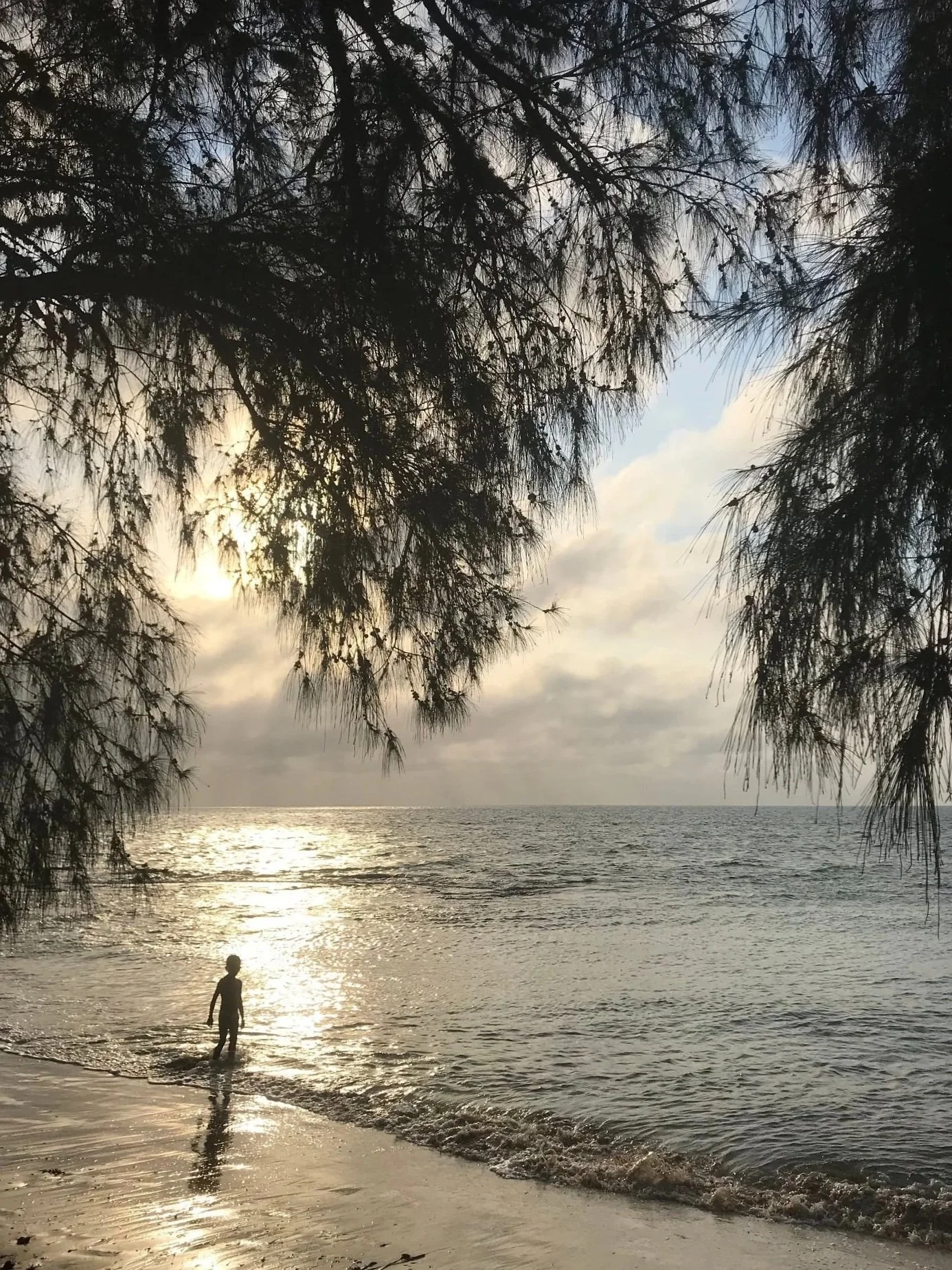 Solo-Exhibition-2026 IMG_2885