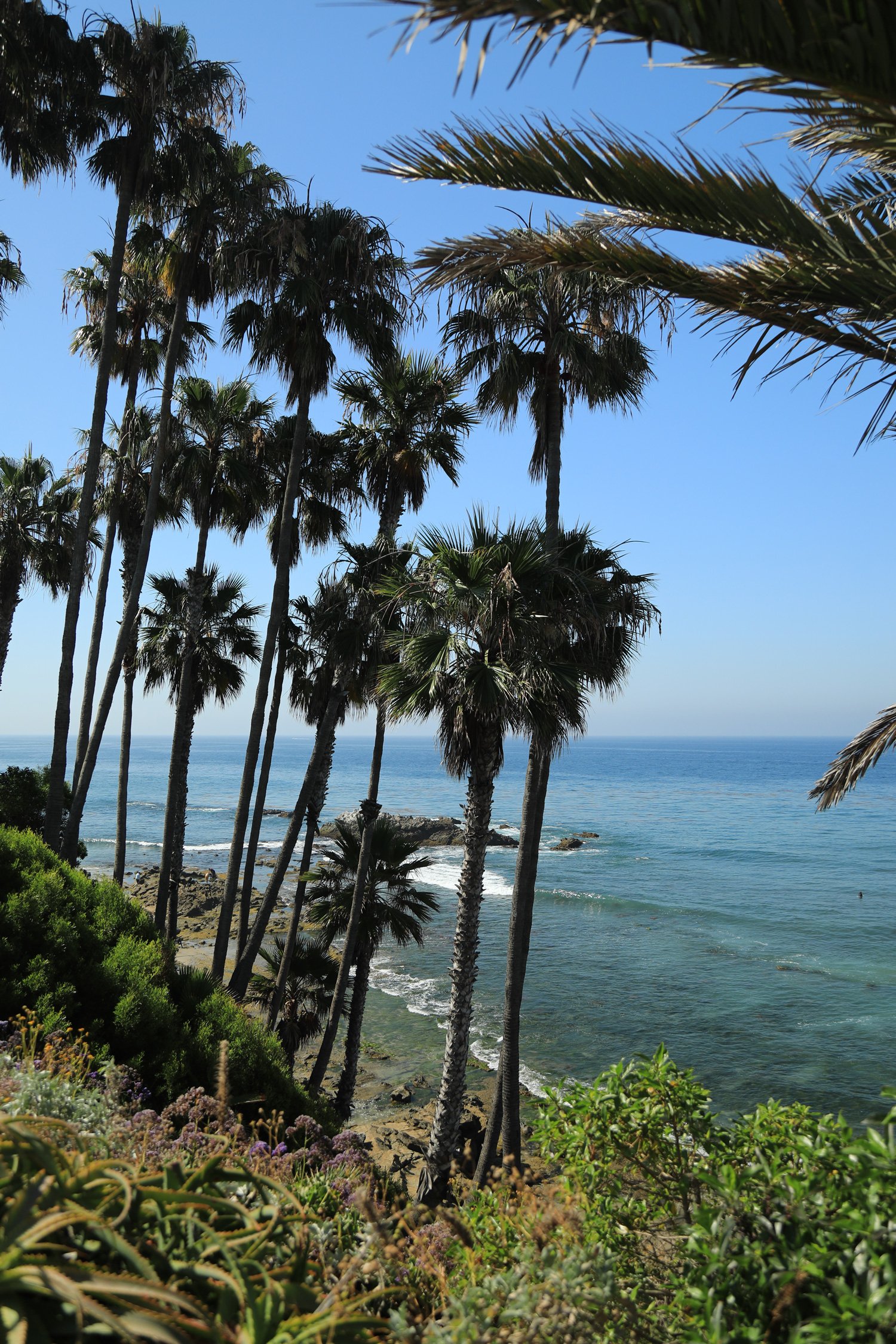 Laguna-2_CRHOADESPICS_04.jpg