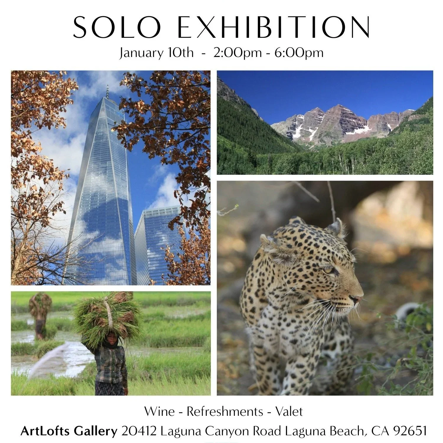 Solo Exhibition
