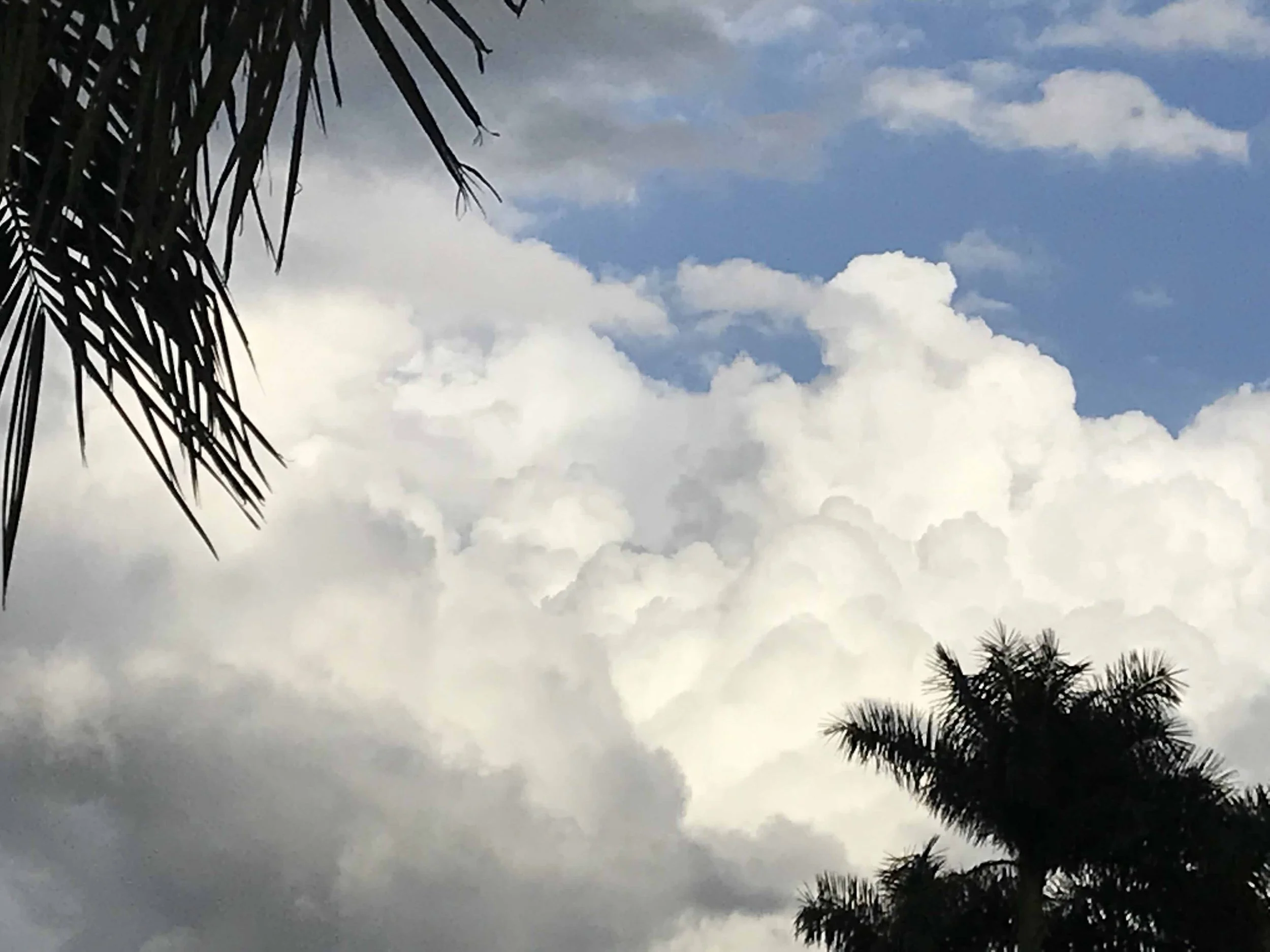 Clouds_IMG_5704.jpeg