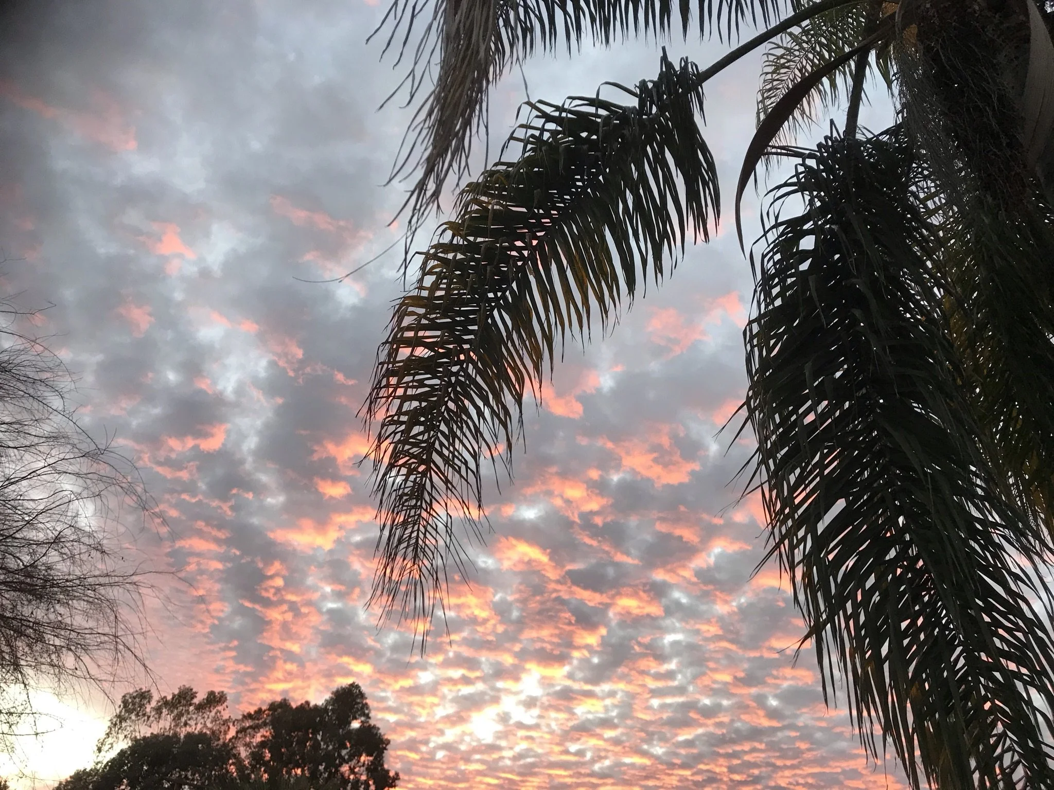 Clouds 019-IMG_3519-opt.JPEG