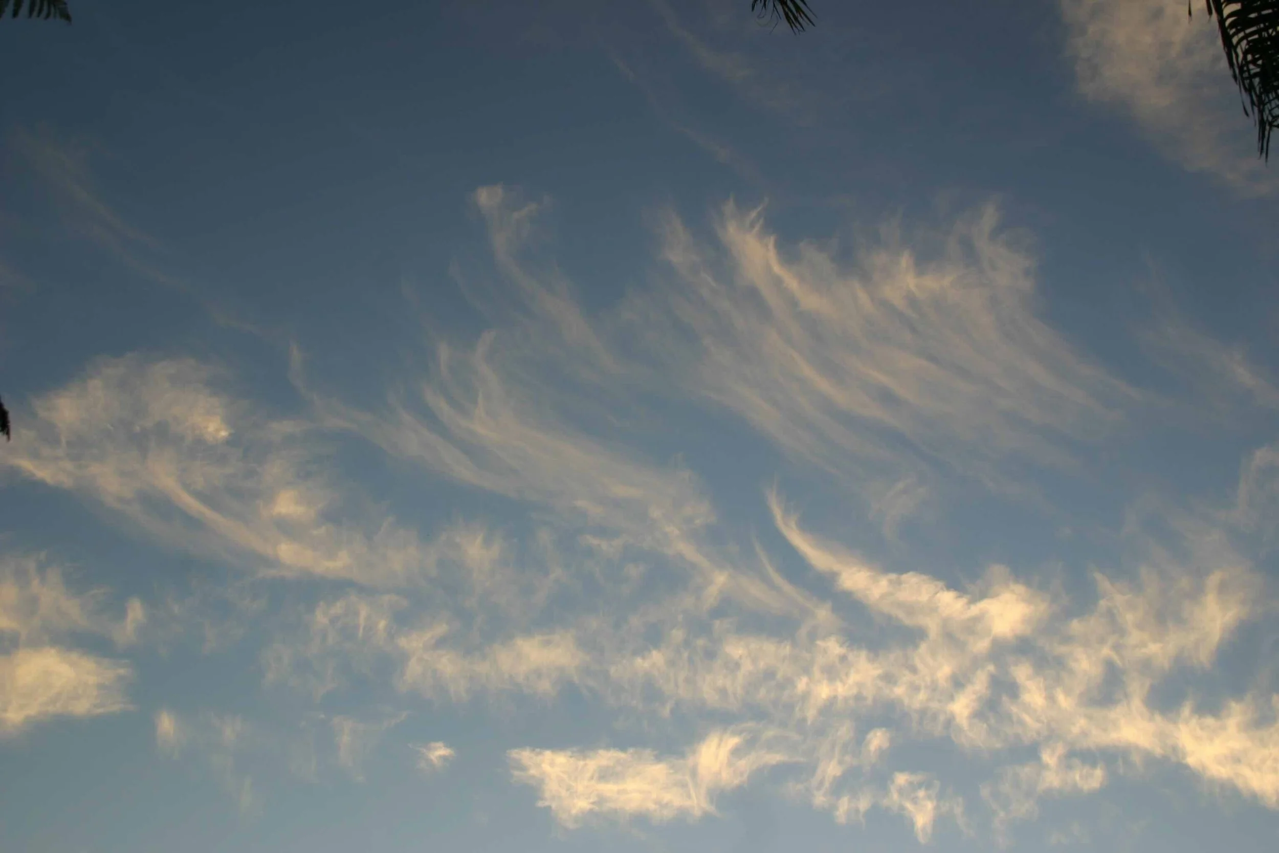 Clouds_IMG_6313.jpeg