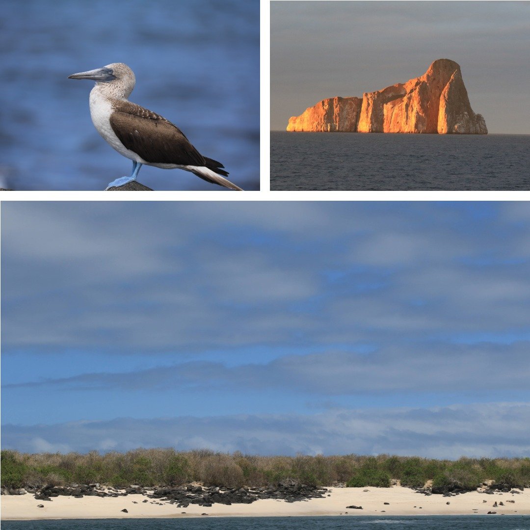 Galapagos 01 Christine Rhoades Photography