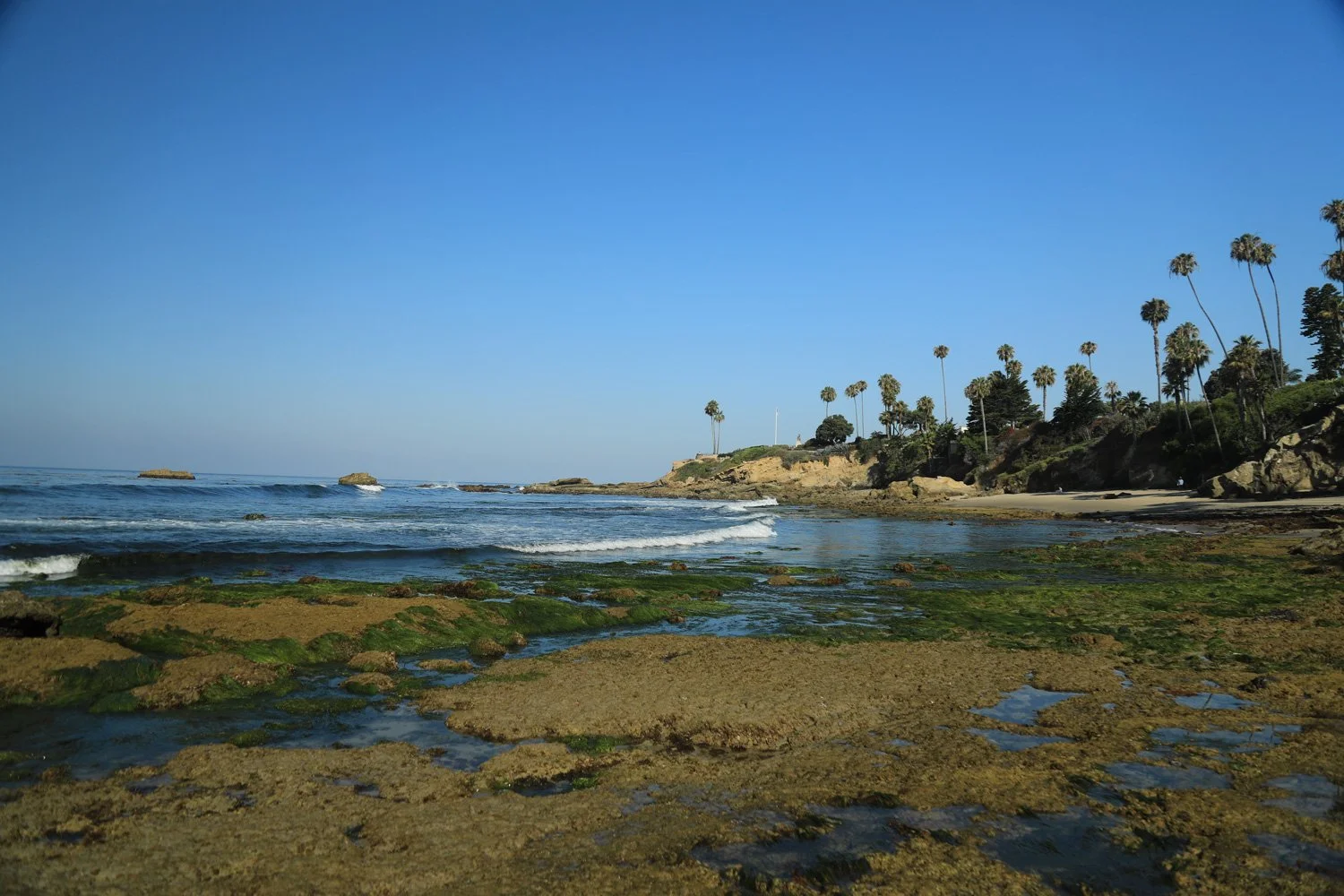 Laguna-2_CRHOADESPICS_027.jpg