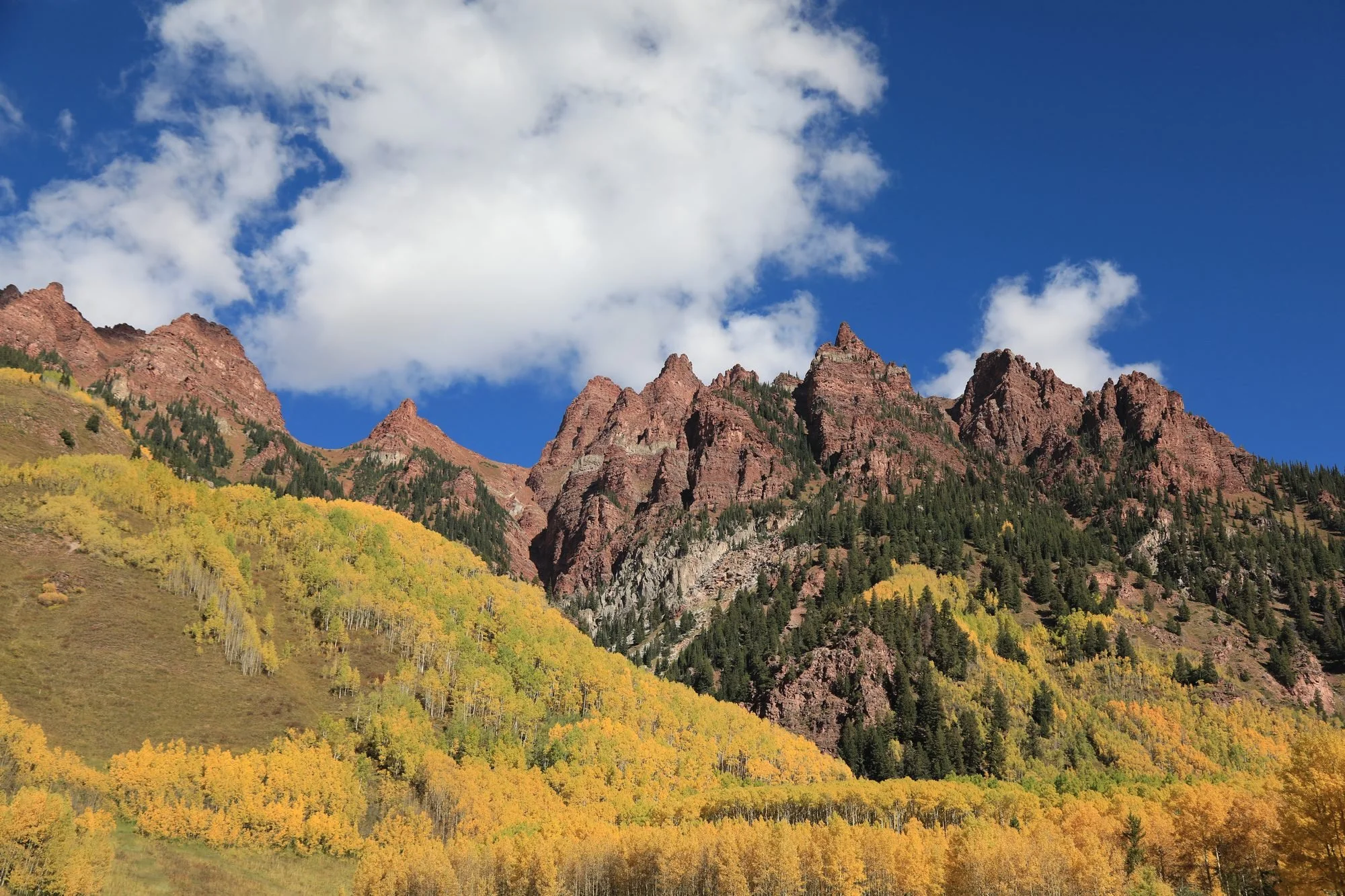 Fall-Aspens-069A6585.jpg