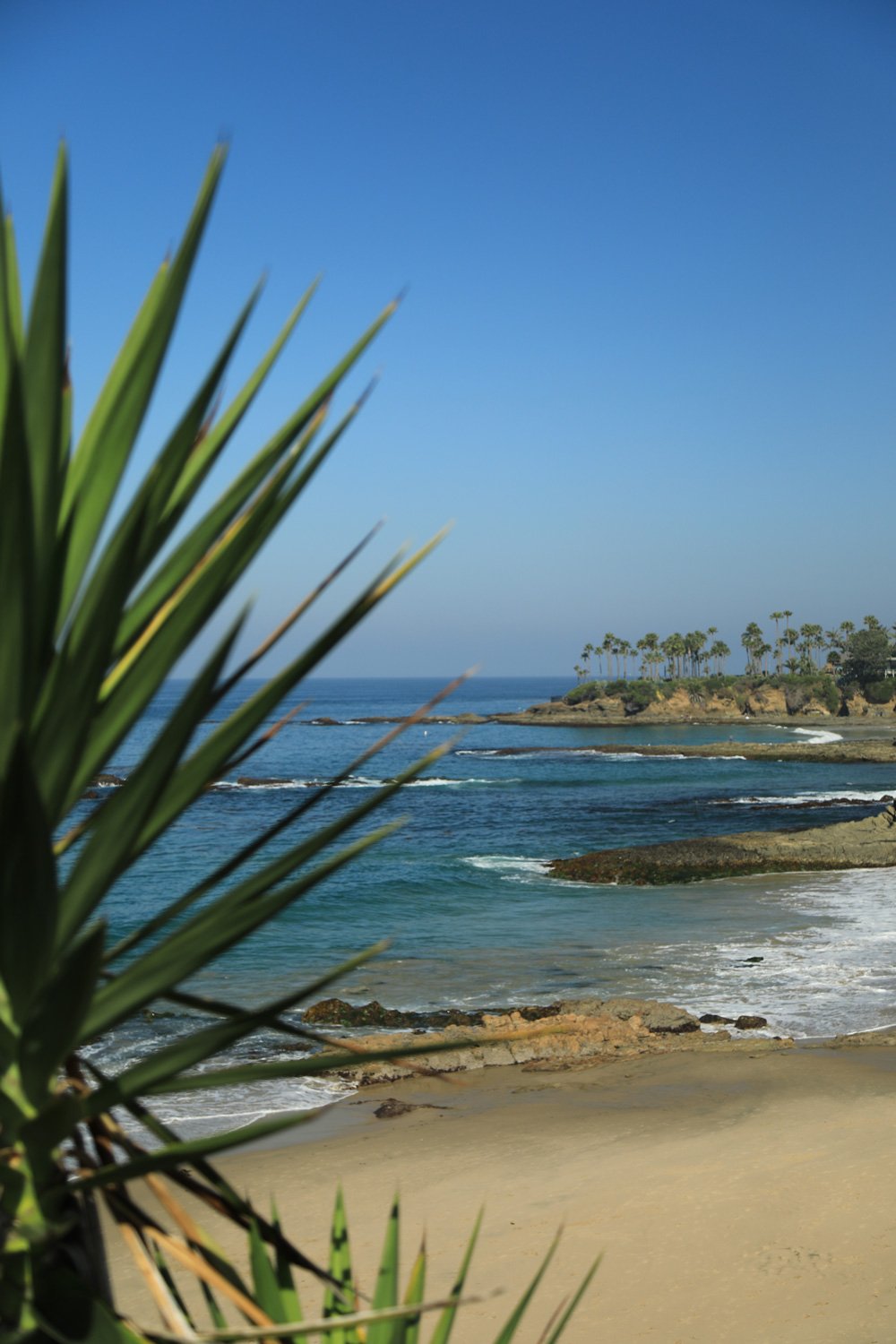 Laguna-2_CRHOADESPICS_016.jpg