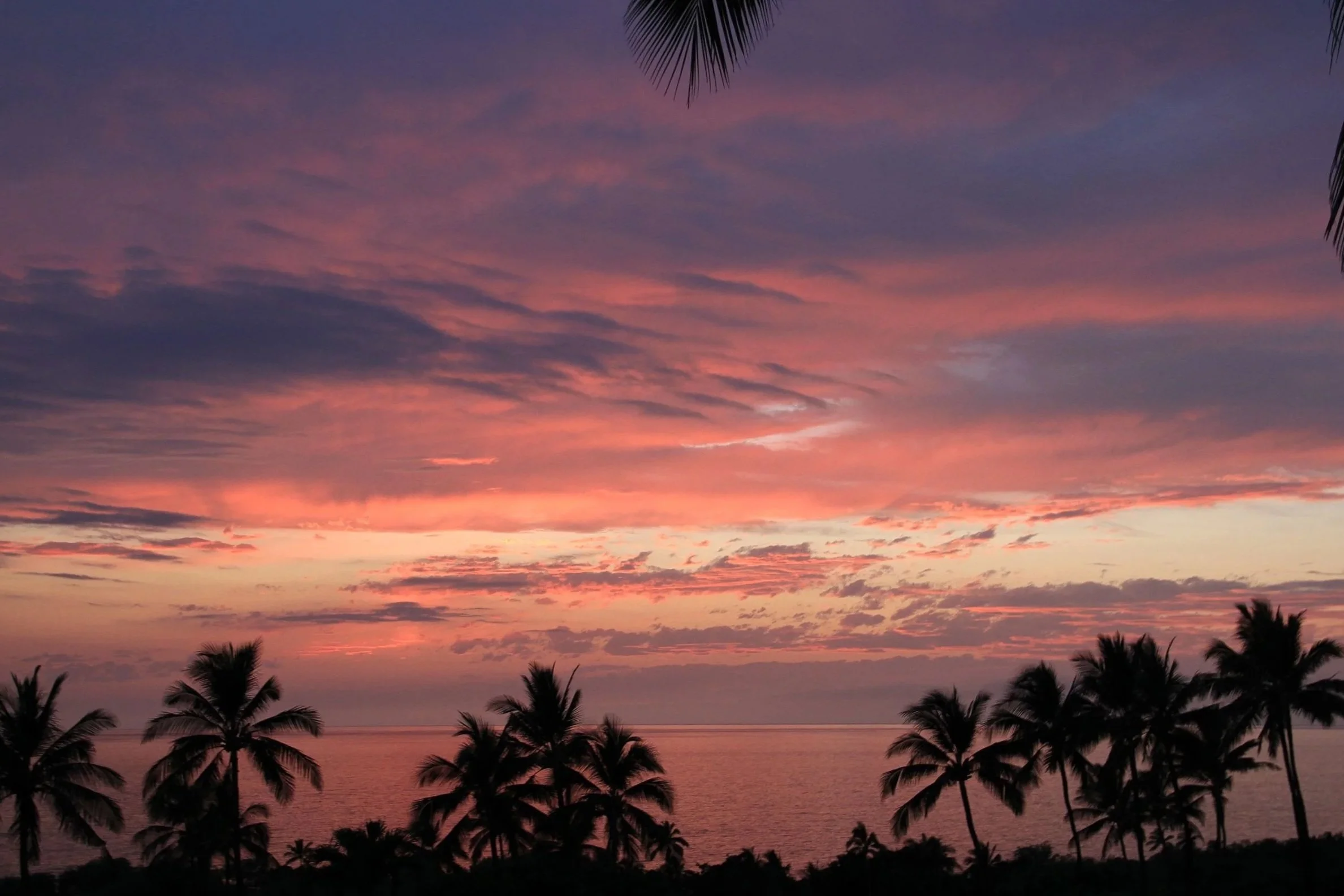 Solo-Exhibition-2026 Hawaii 2 May 2016 157