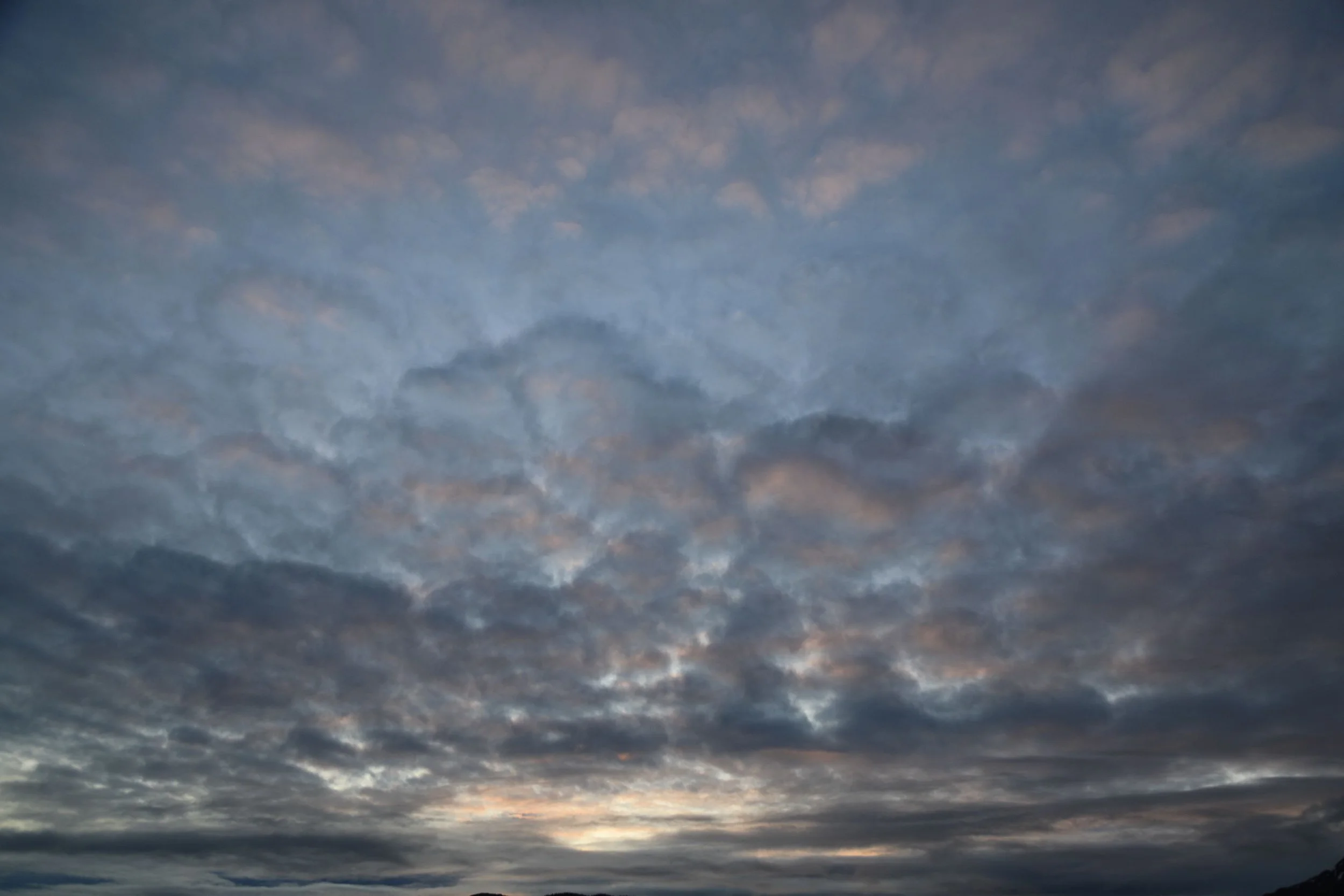 Solo-Exhibition-2026-069A9324