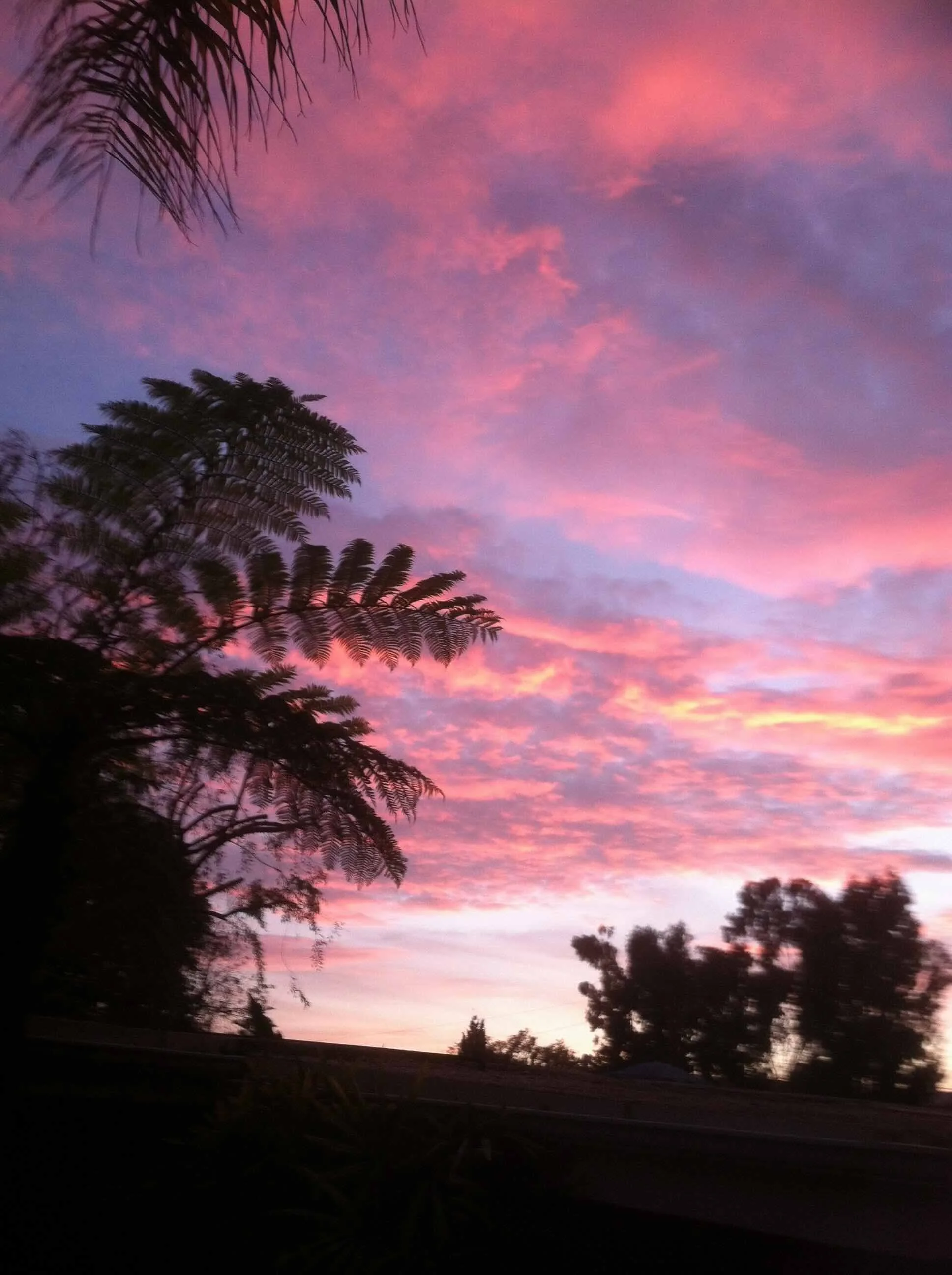 Clouds_003_Purple