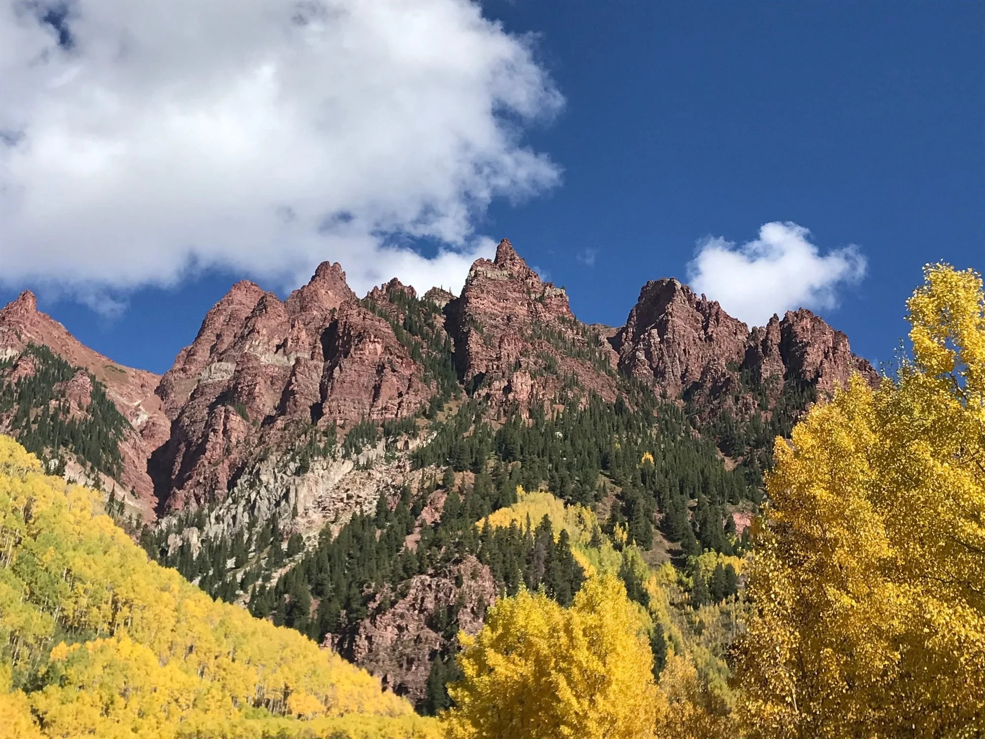 Fall-Aspens-IMG_4845.jpg