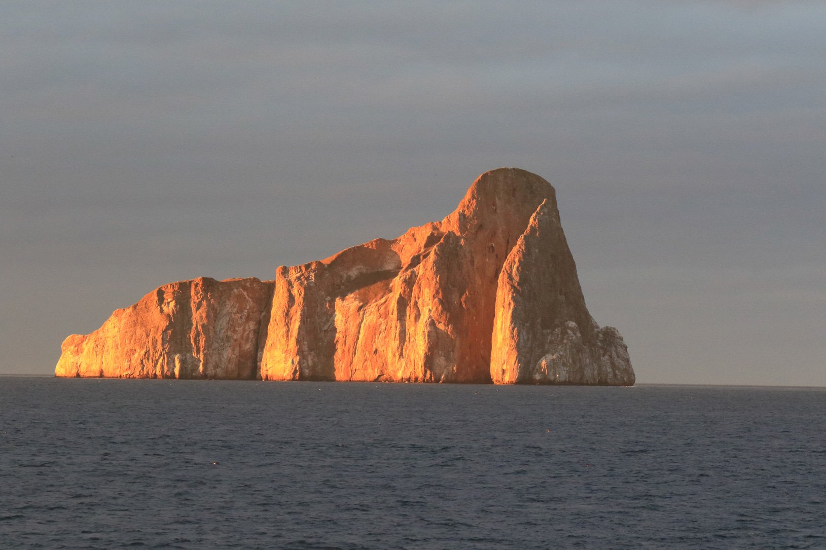 Galapagos-5-482.jpg