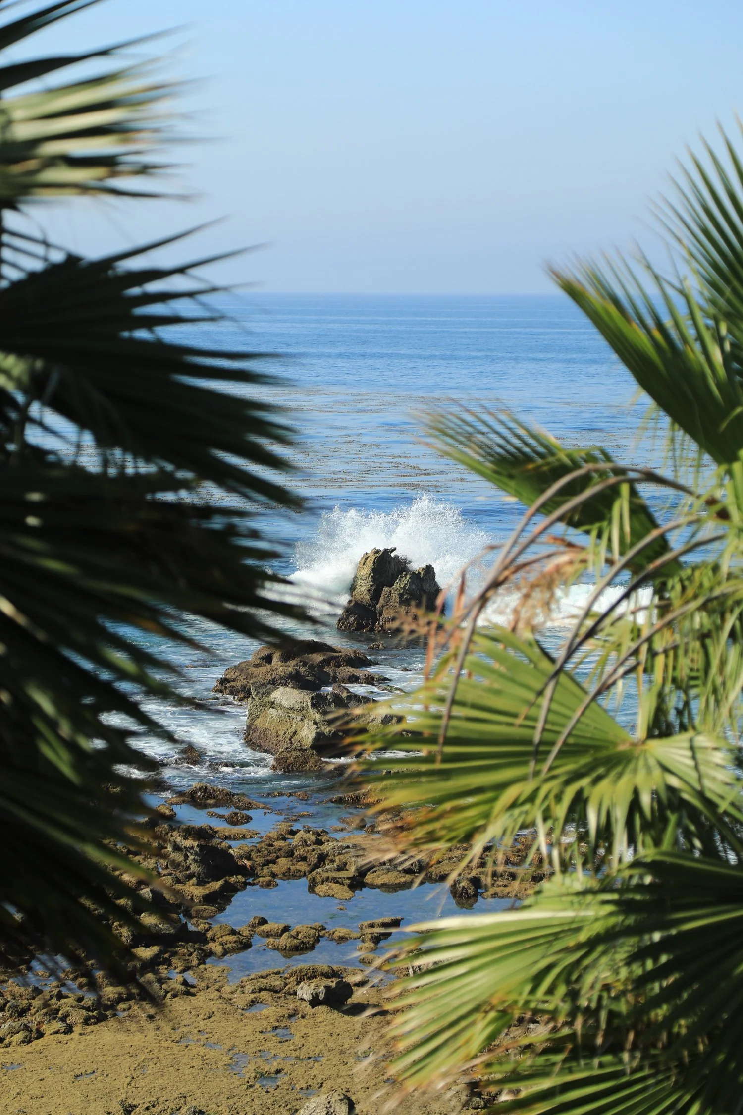 Laguna-2_CRHOADESPICS_017.jpg