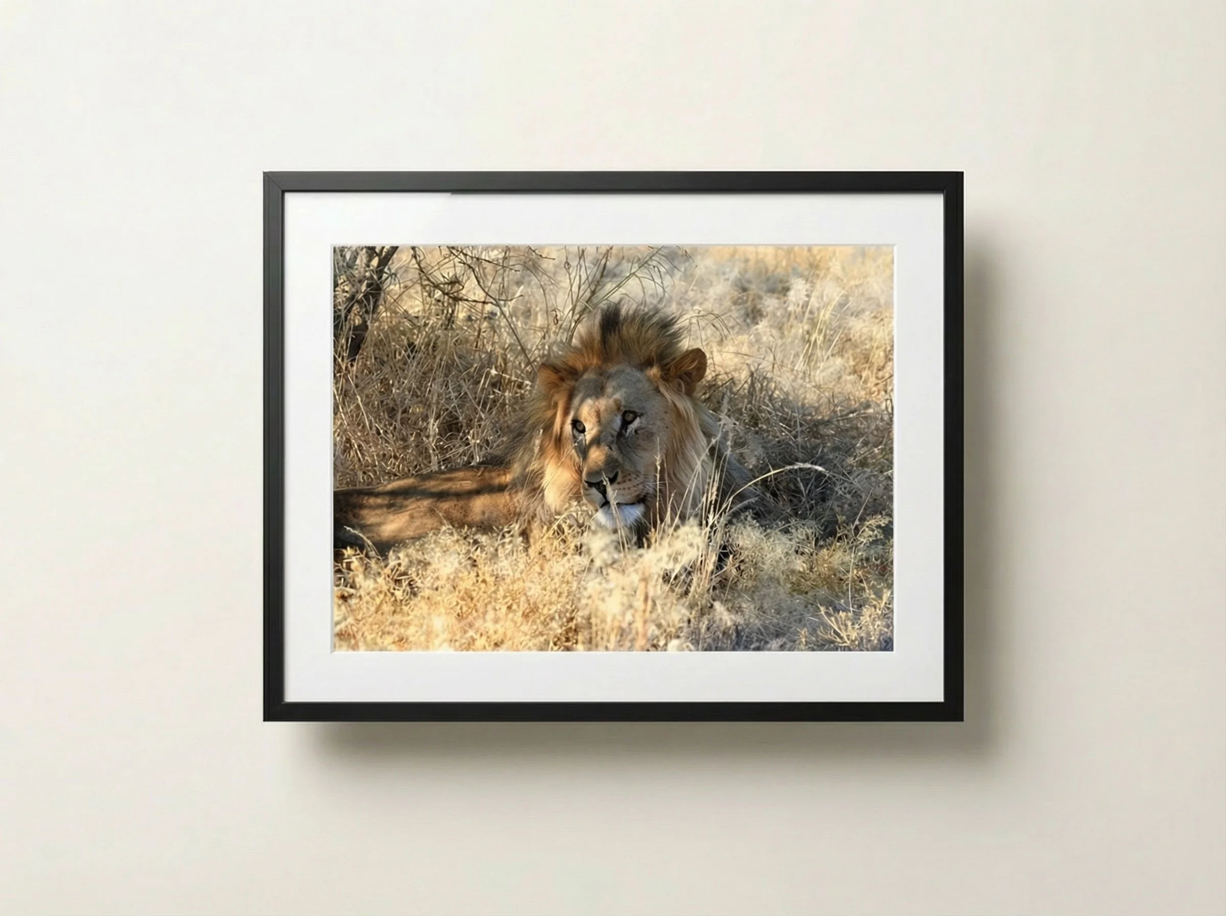 11 x 14 Small Images Matted