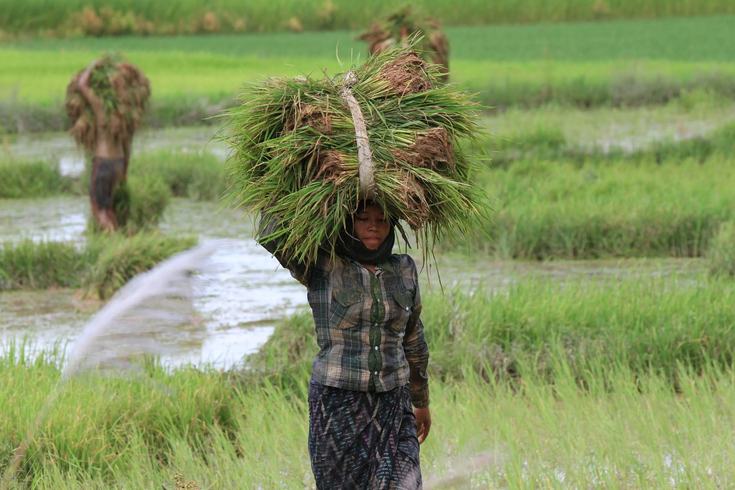 Solo-Exhibition-2026 IMG_0619