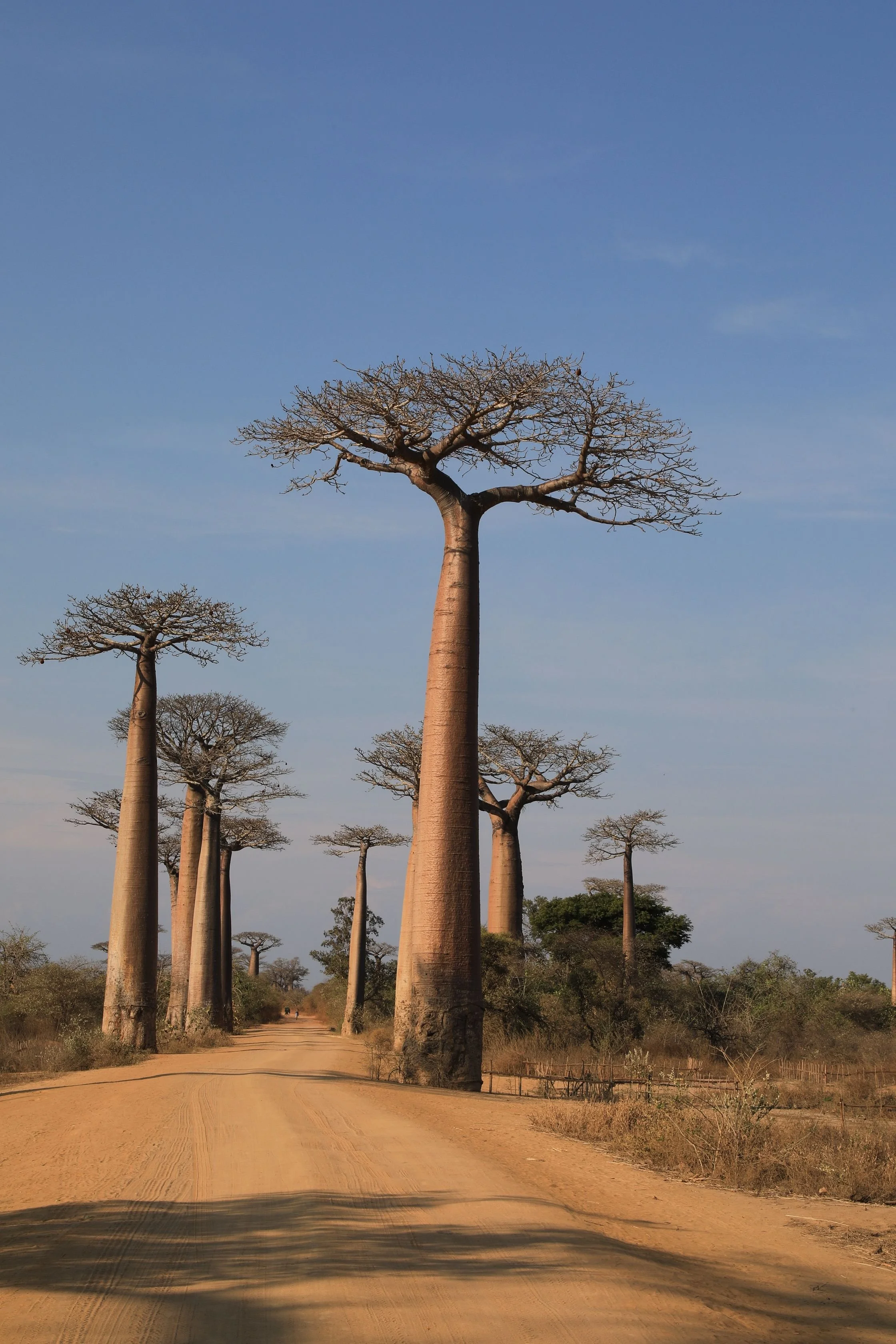 Solo-Exhibition-2026 069A8467