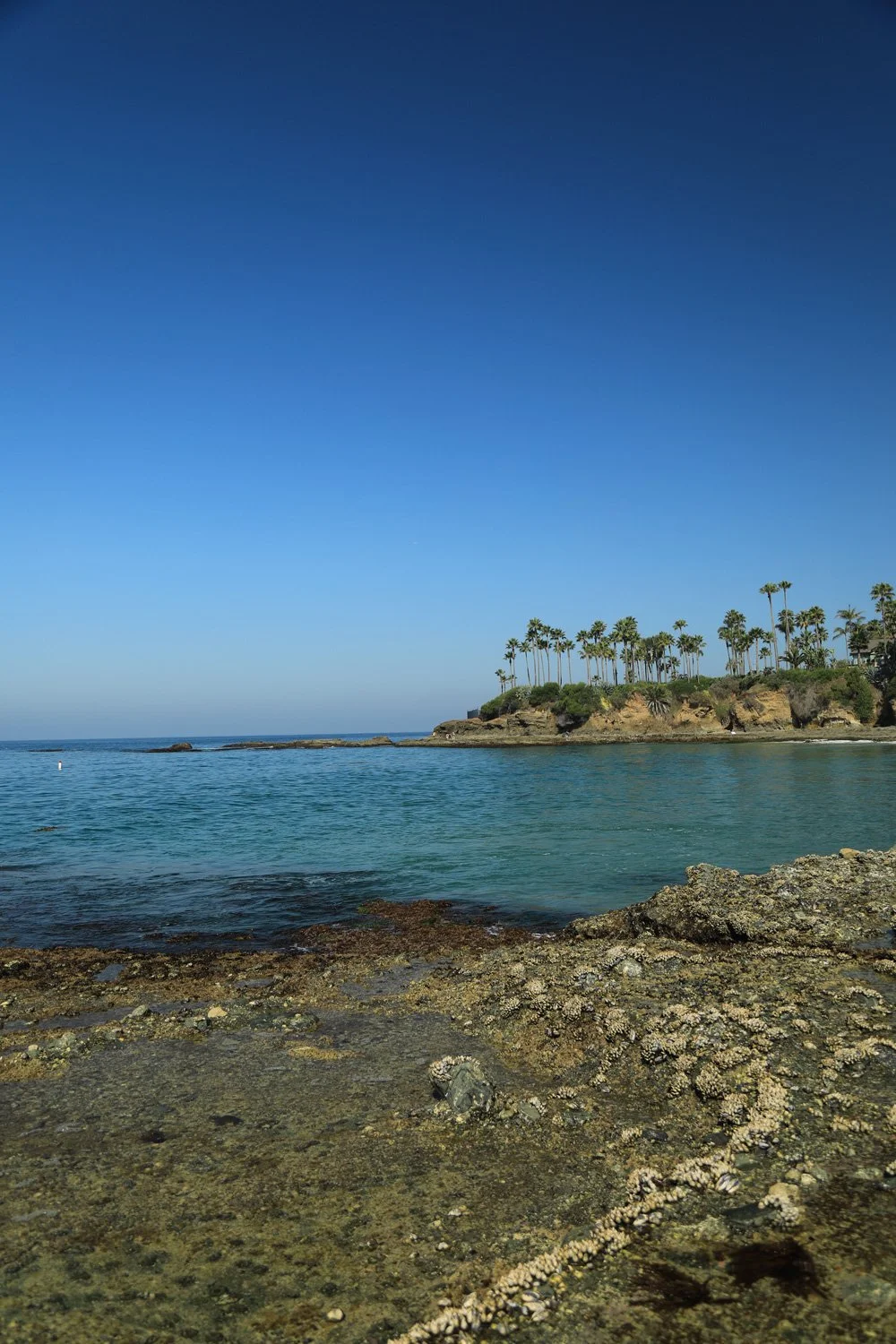 Laguna-2_CRHOADESPICS_012.jpg
