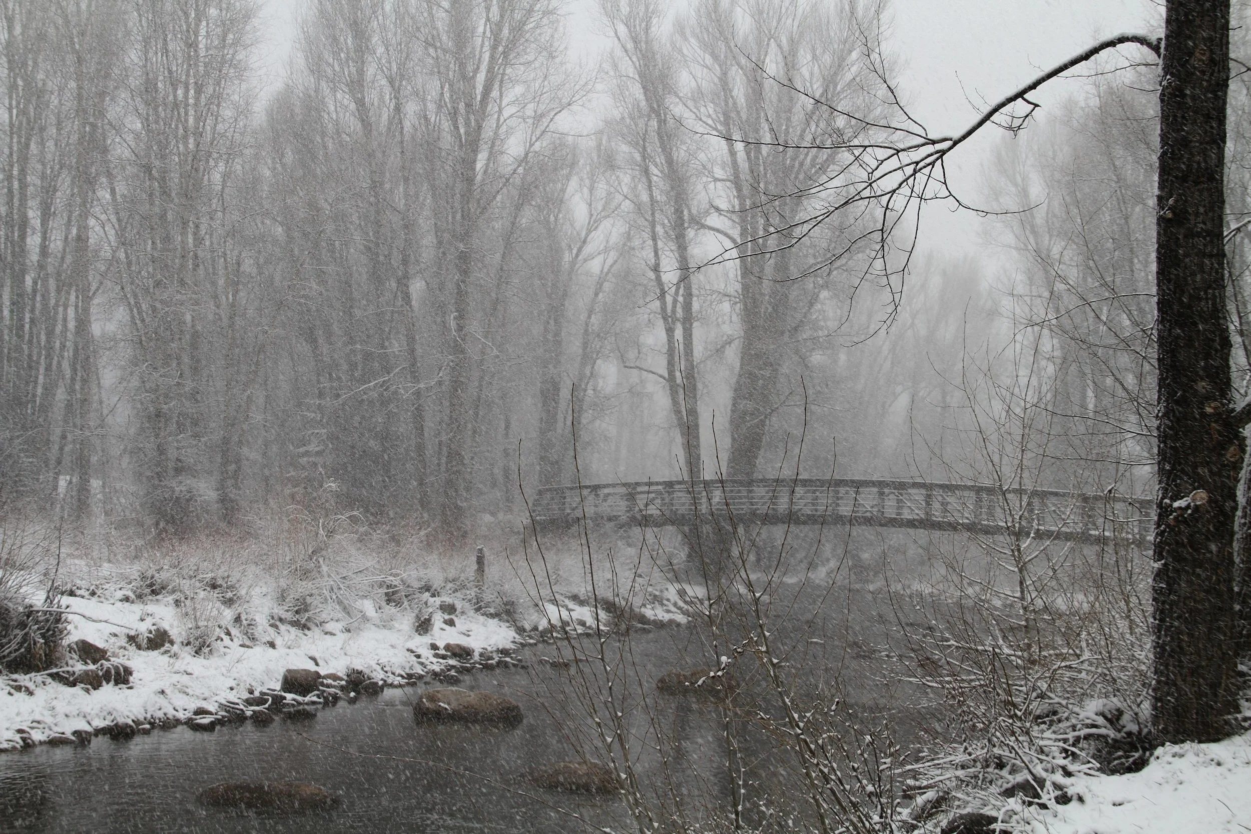 Solo-Exhibition-2026 -141