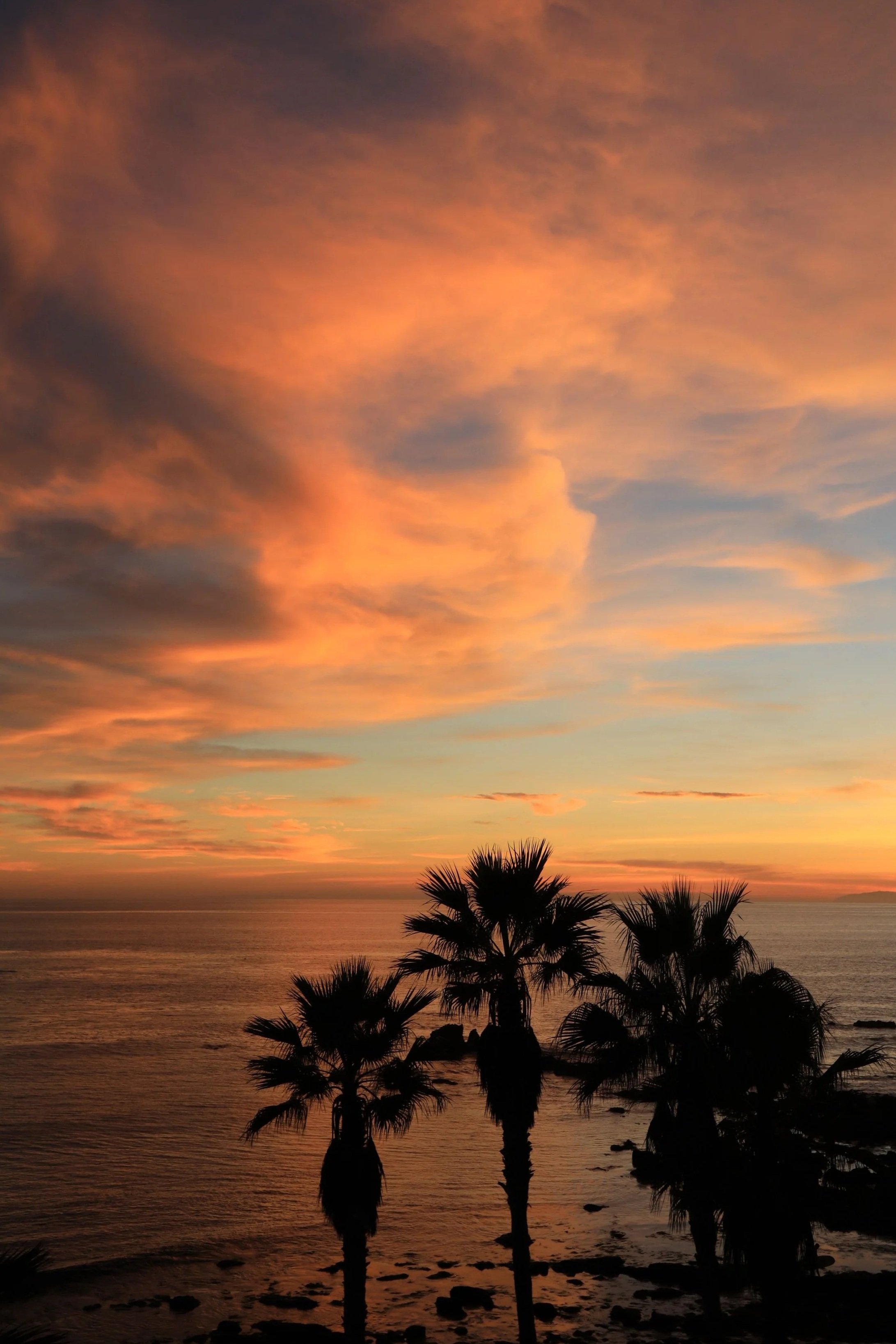 Solo-Exhibition-2026 069A4592