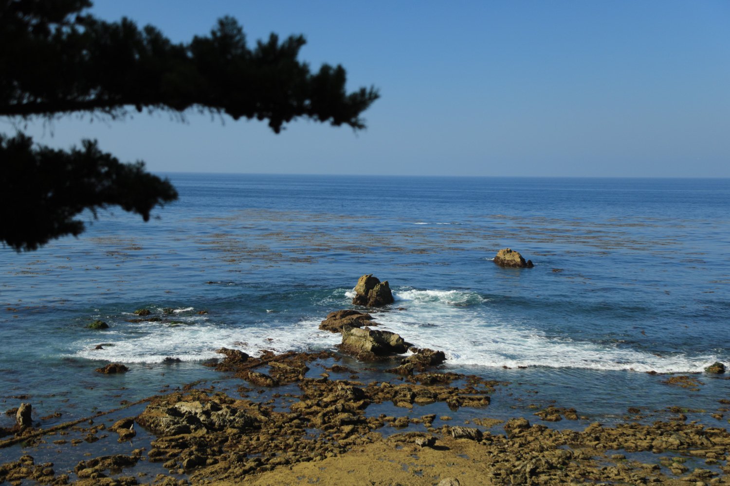 Laguna-2_CRHOADESPICS_019.jpg