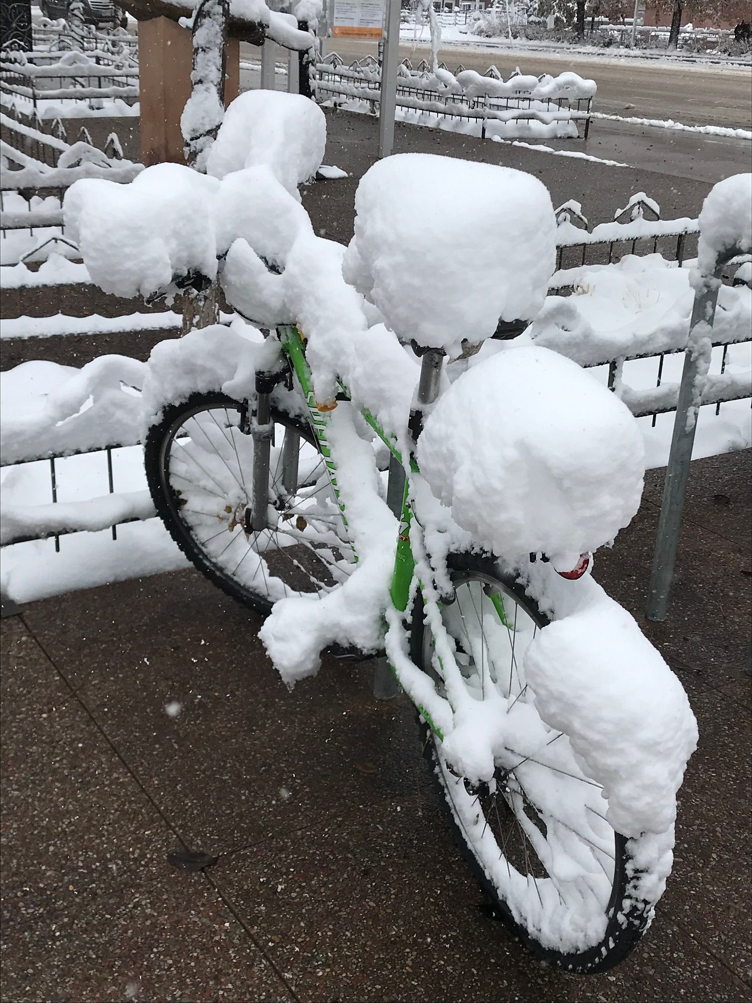 Solo-Exhibition-2026-IMG_3001