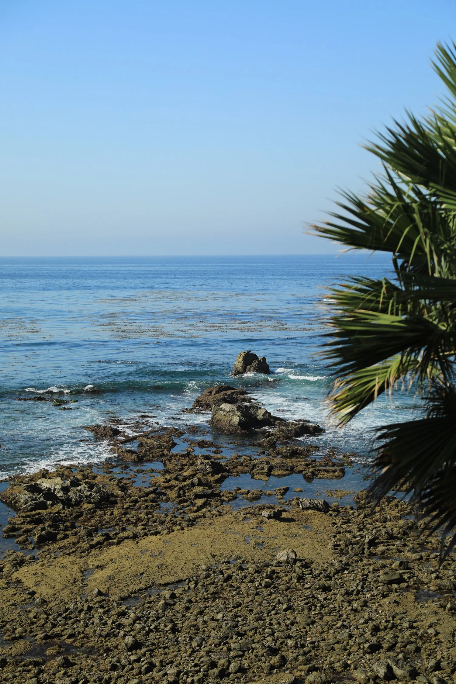 Laguna-2_CRHOADESPICS_018.jpg
