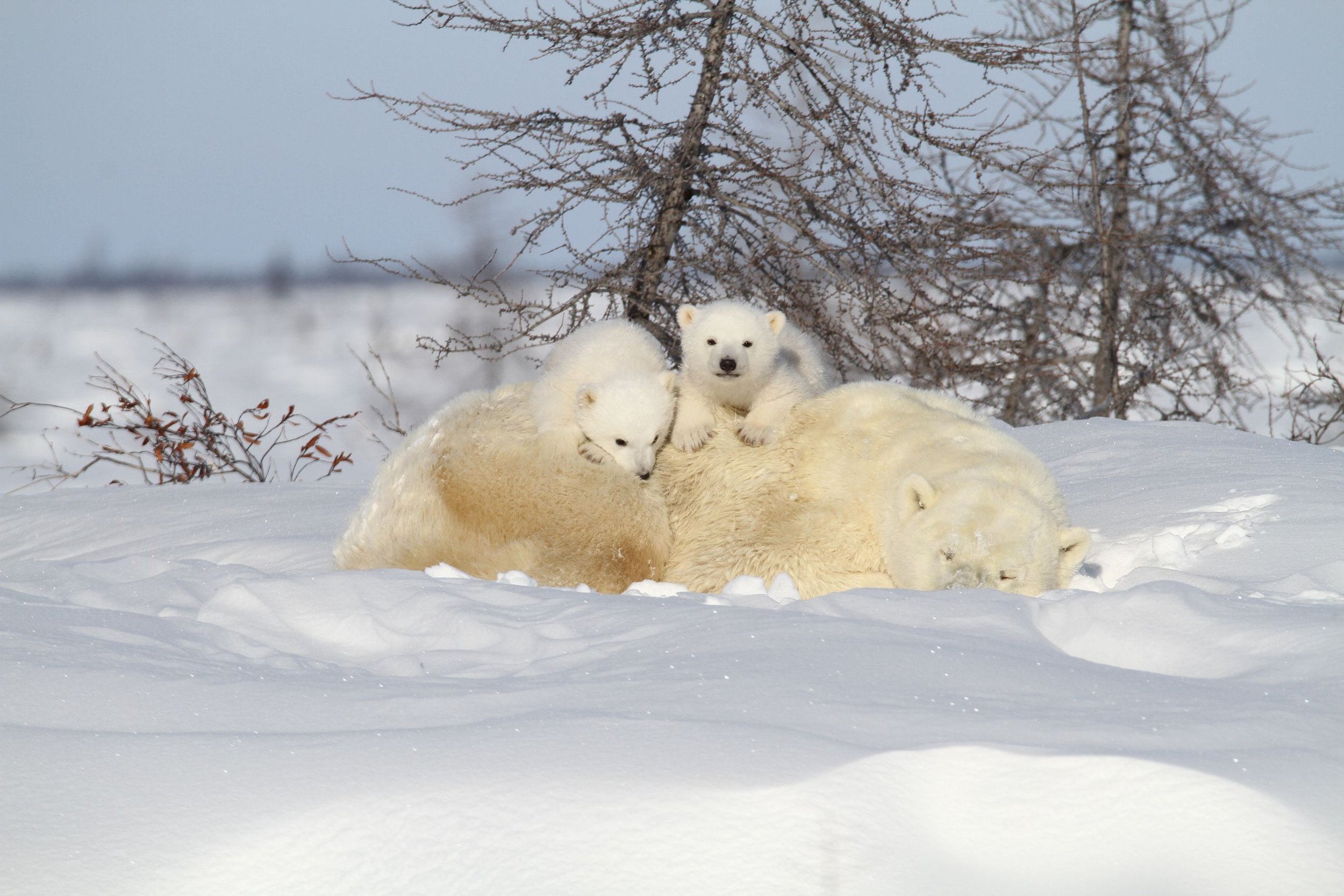 Solo-Exhibition-2026 IMG_8976