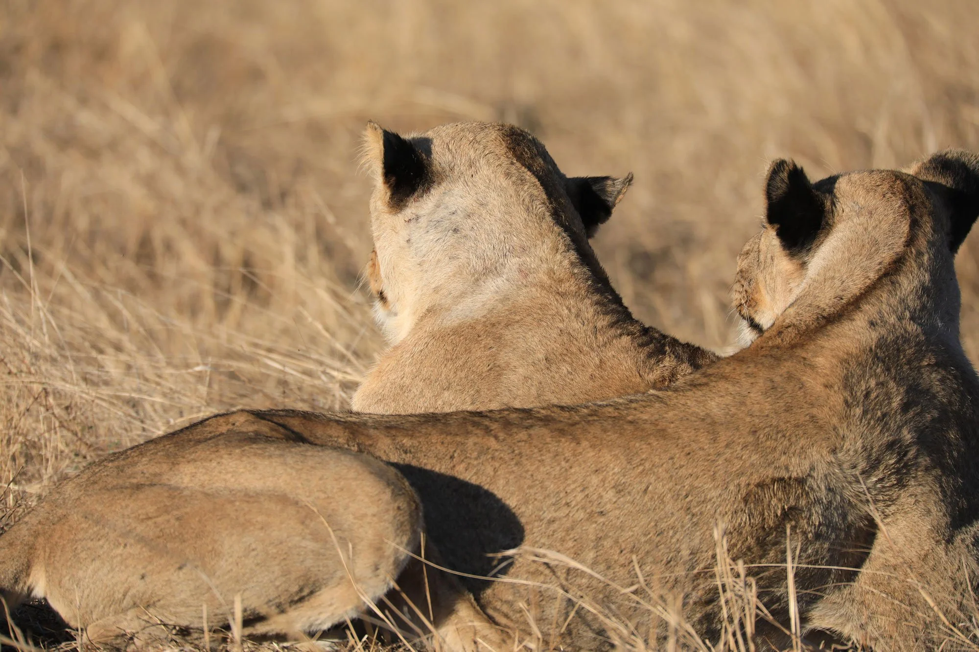 Solo-Exhibition-2026 069A8012