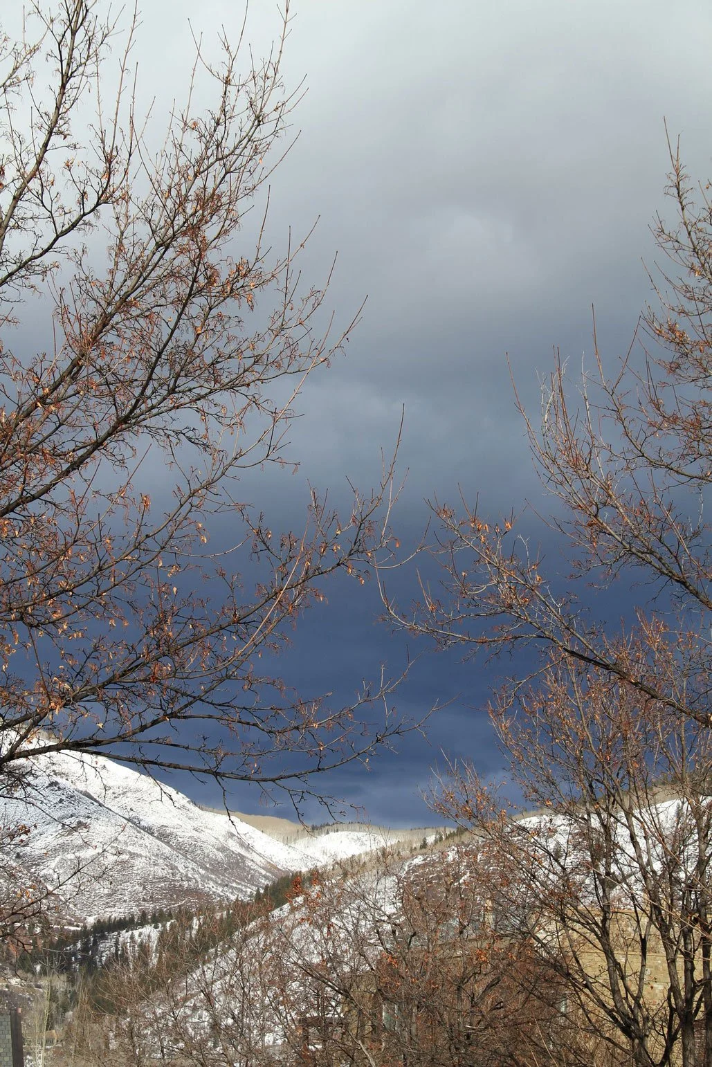 Solo-Exhibition-2026-IMG_8465