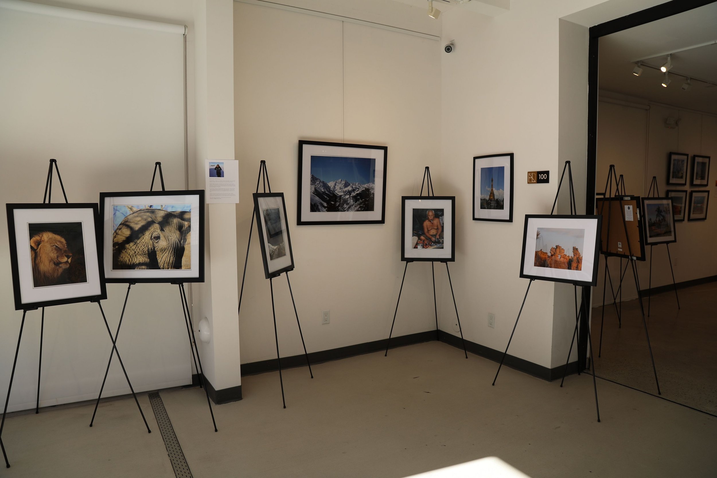 February | Inagural Newsletter