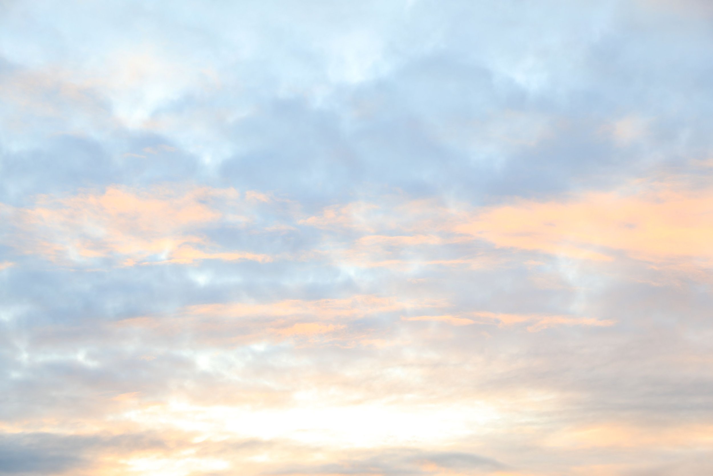 Solo-Exhibition-2026-069A9311