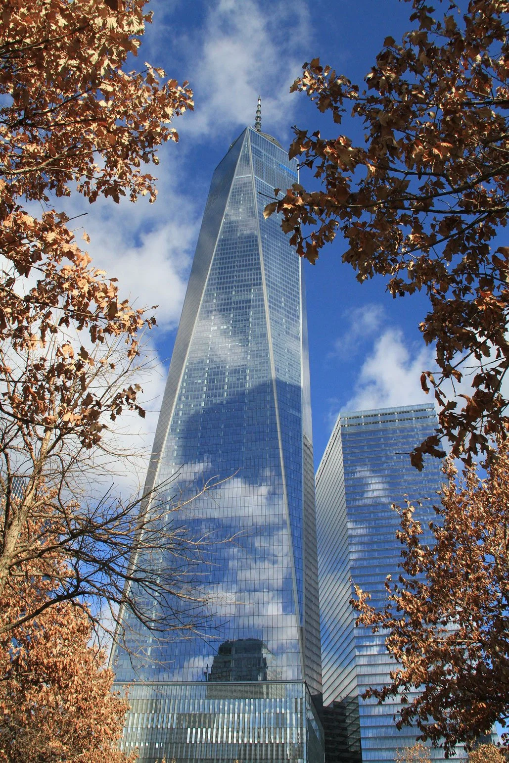 Solo-Exhibition-2026 IMG_7909