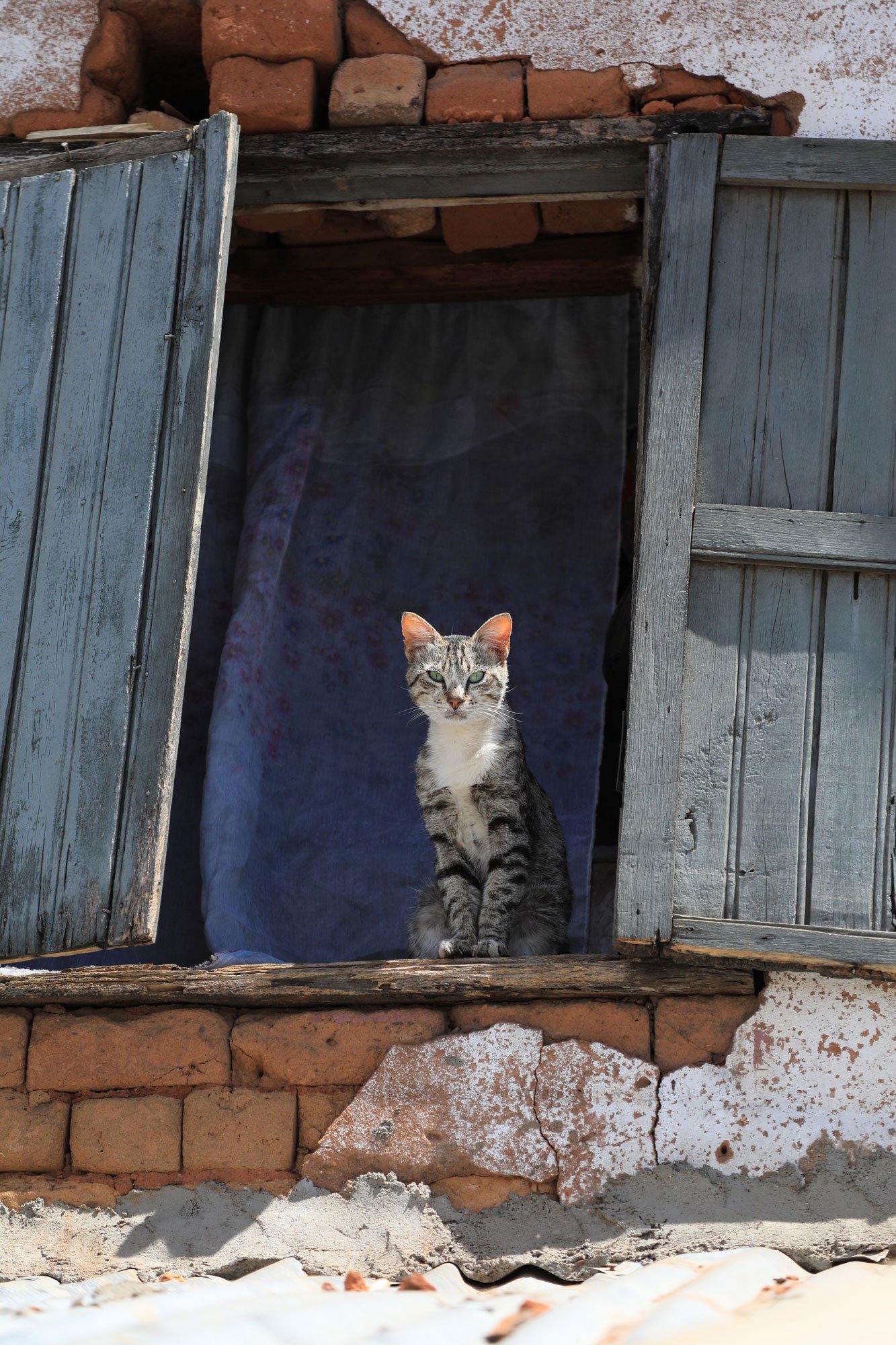 Solo-Exhibition-2026 069A9866