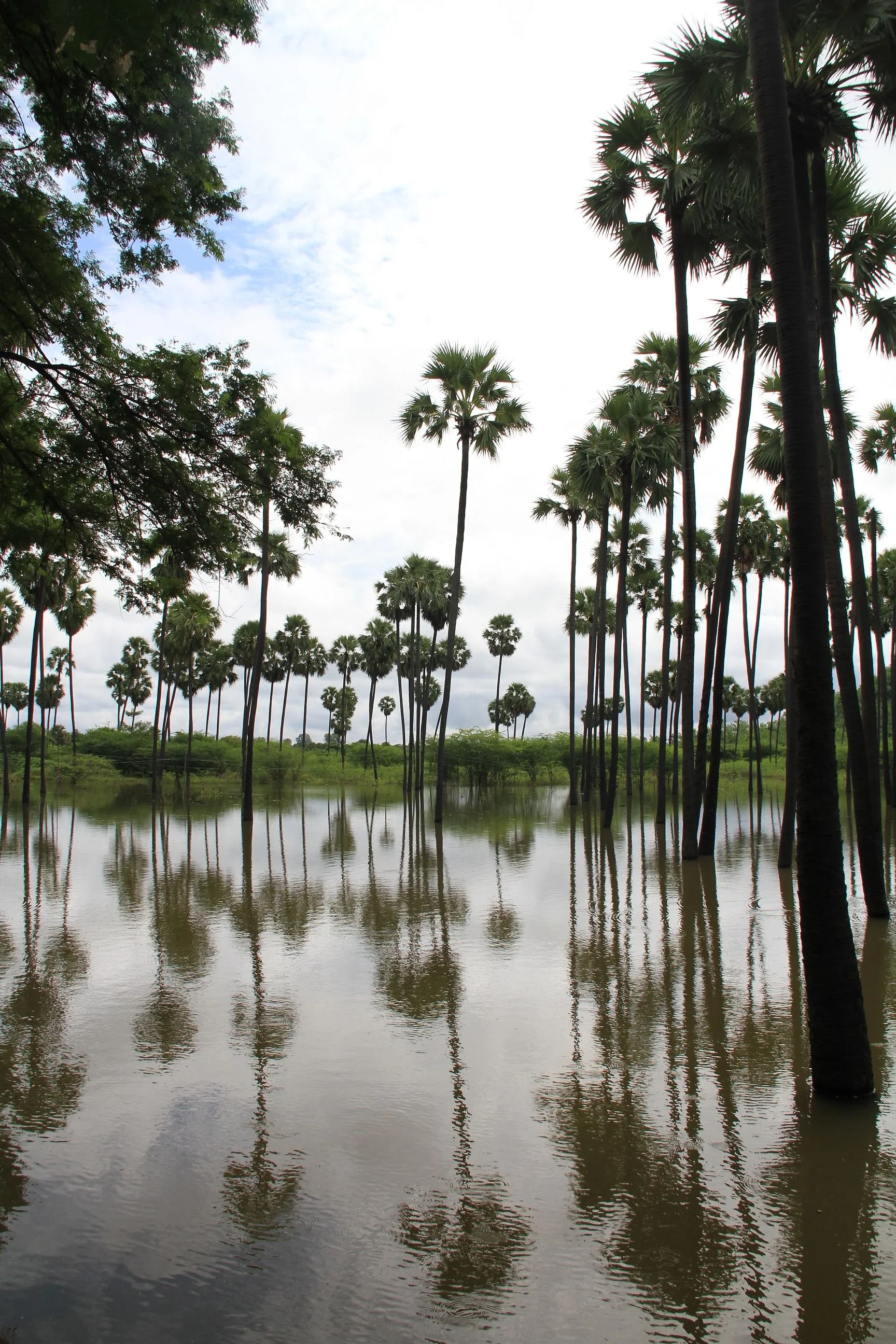 Solo-Exhibition-2026-Burma 5 October 2016 360