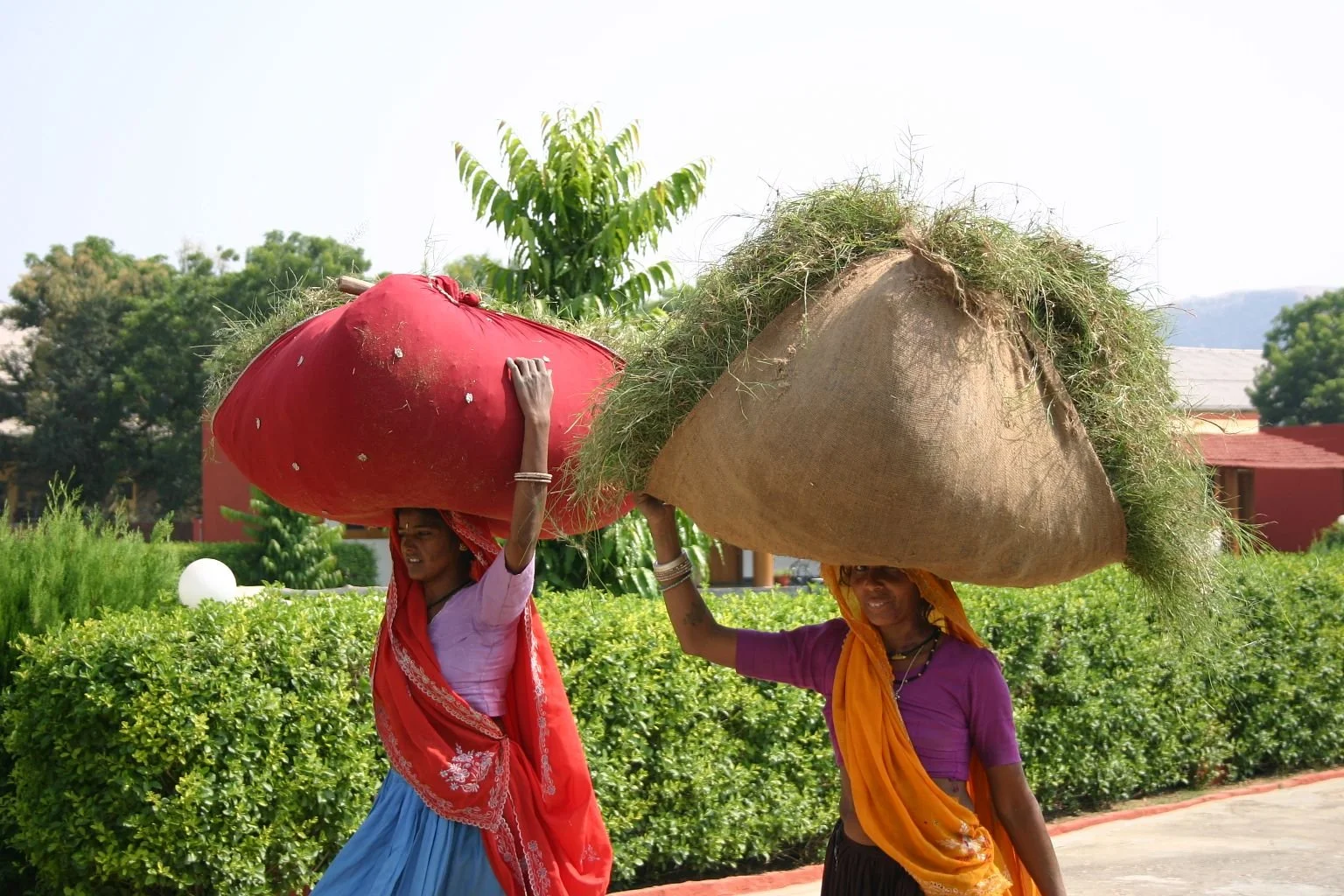 Solo-Exhibition-2026-IMG_2875