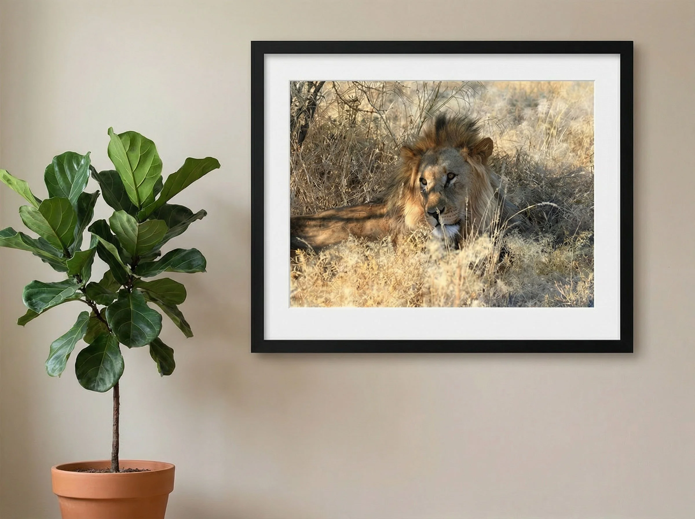 24 x 30 Large Framed and Mat Print