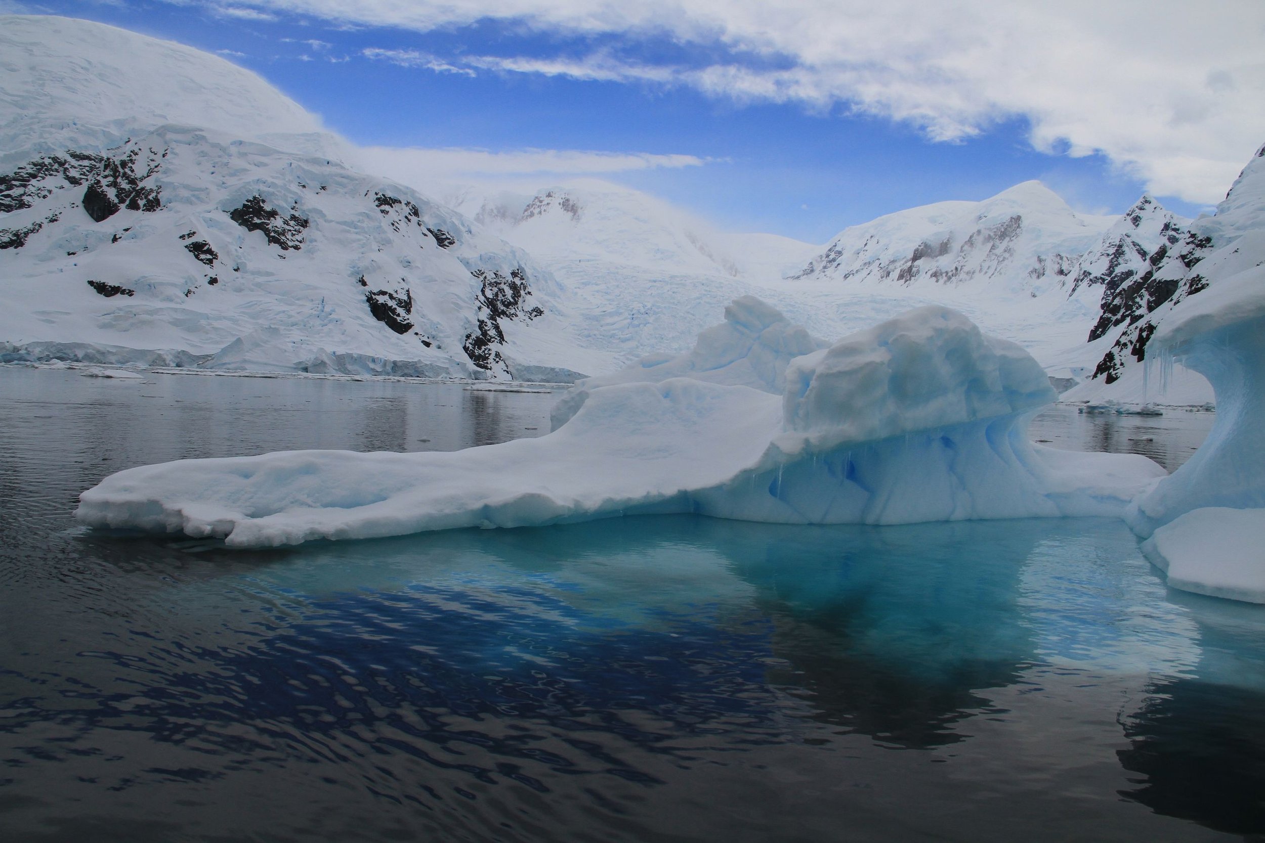 Solo-Exhibition-2026-Antarcticia 2016 3 284