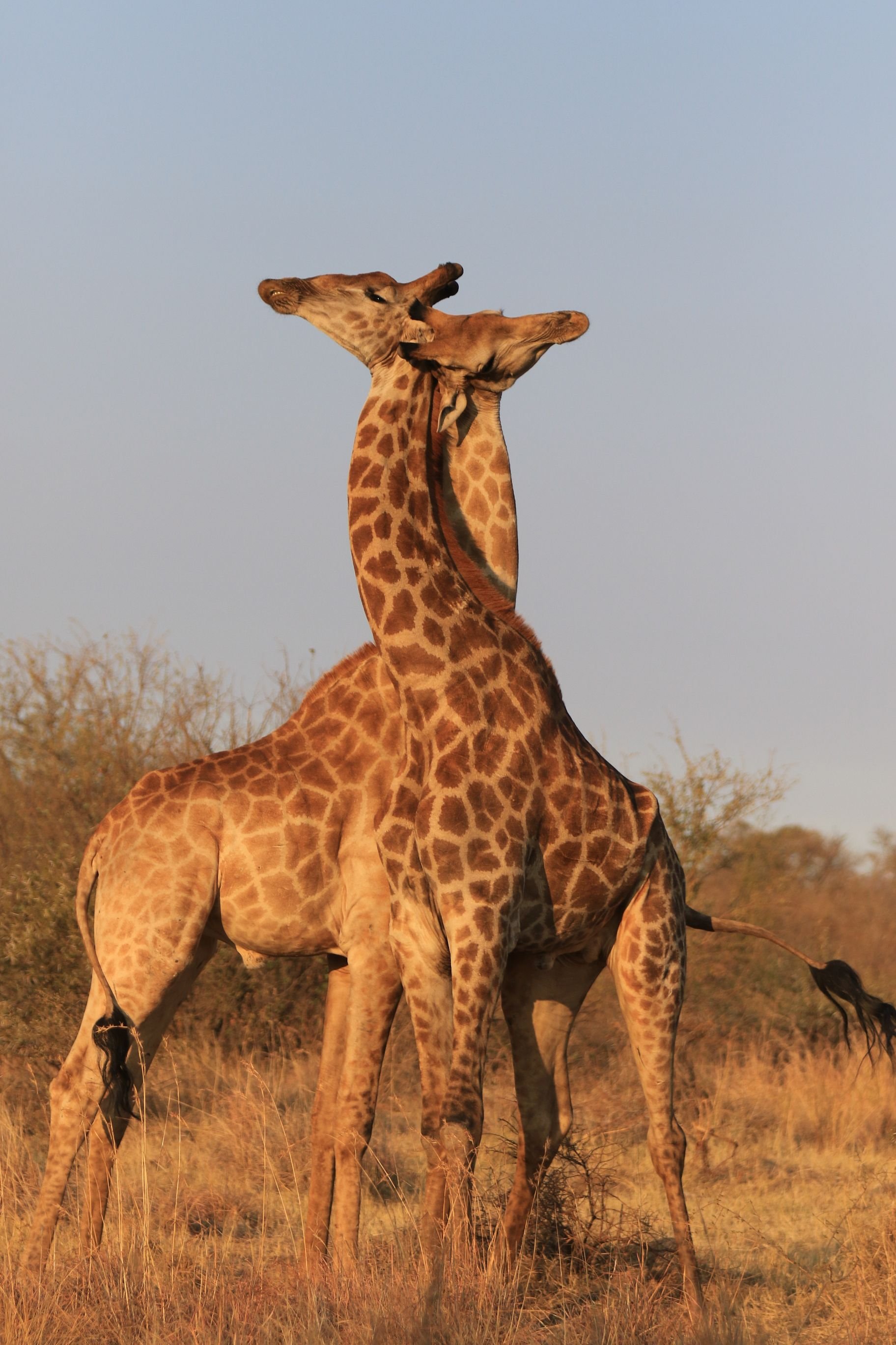 Solo-Exhibition-2026 0J9A7266