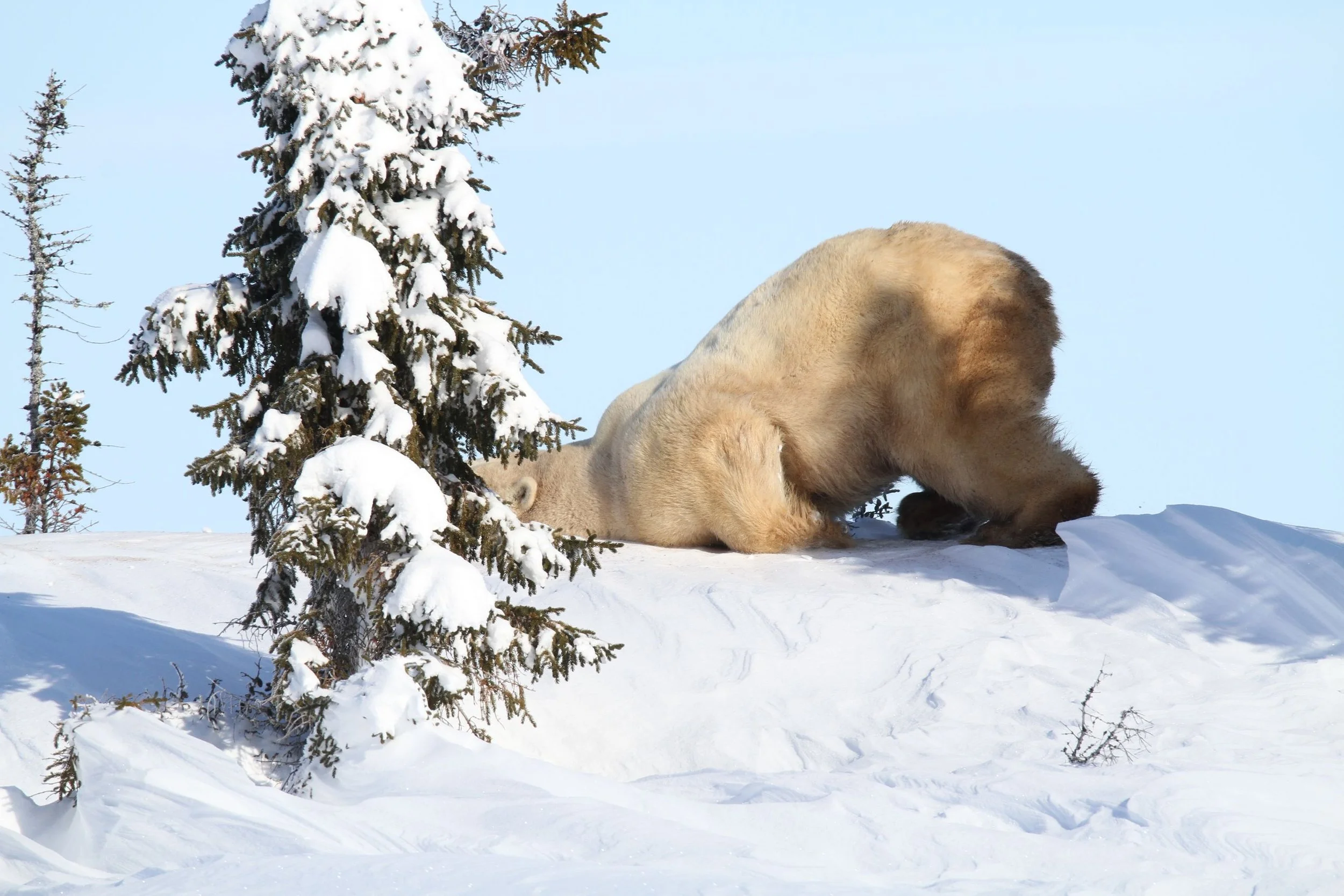 Solo-Exhibition-2026 IMG_8849