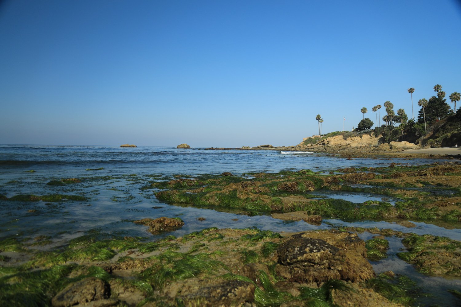 Laguna-2_CRHOADESPICS_025.jpg