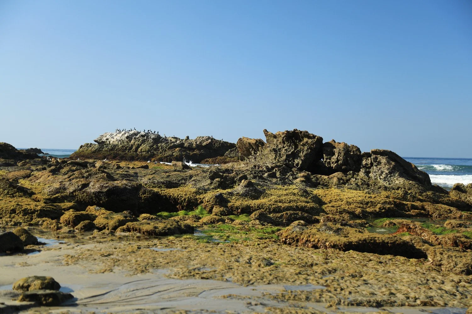 Laguna-2_CRHOADESPICS_028.jpg