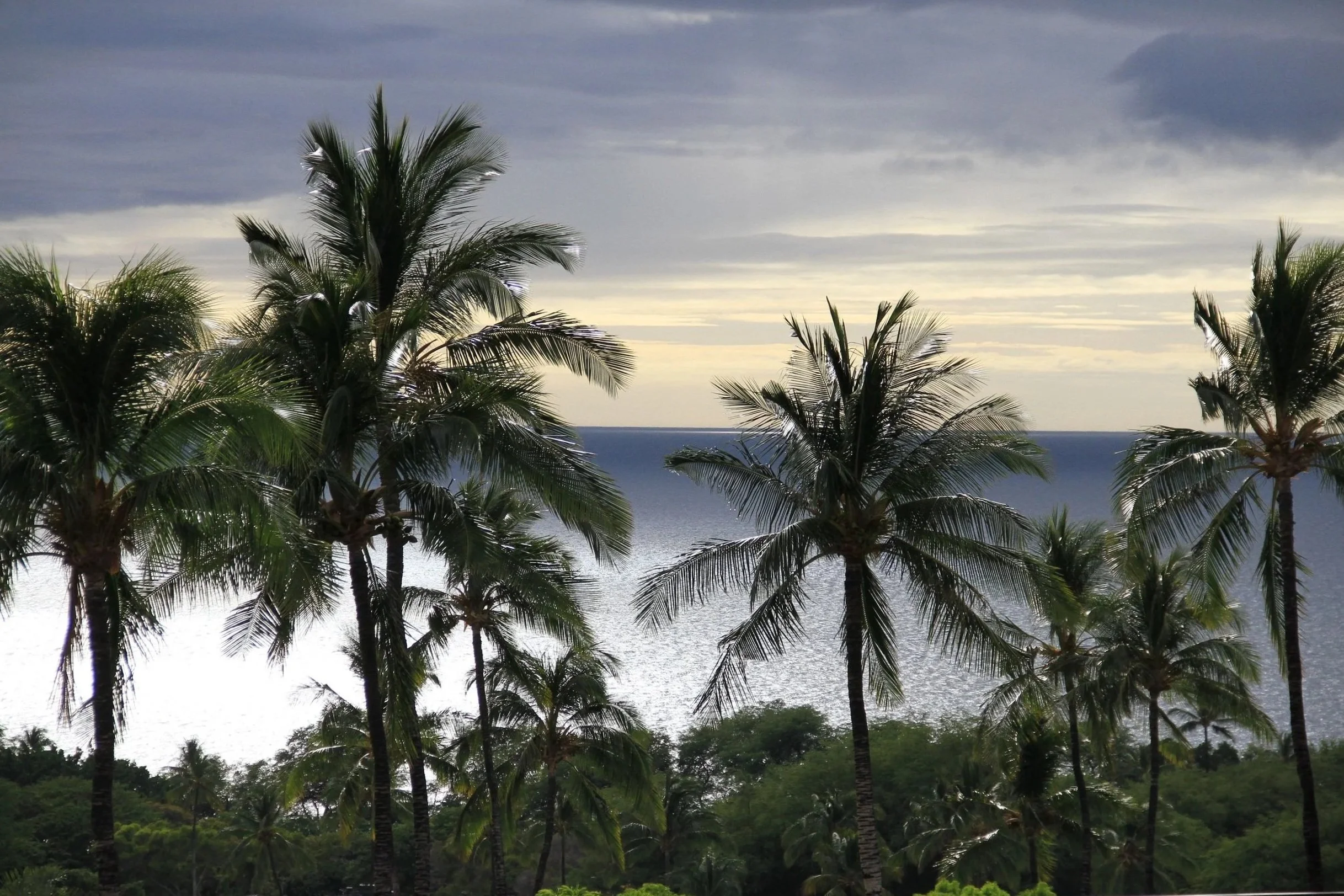 Solo-Exhibition-2026 -Hawaii 2 May 2016 016