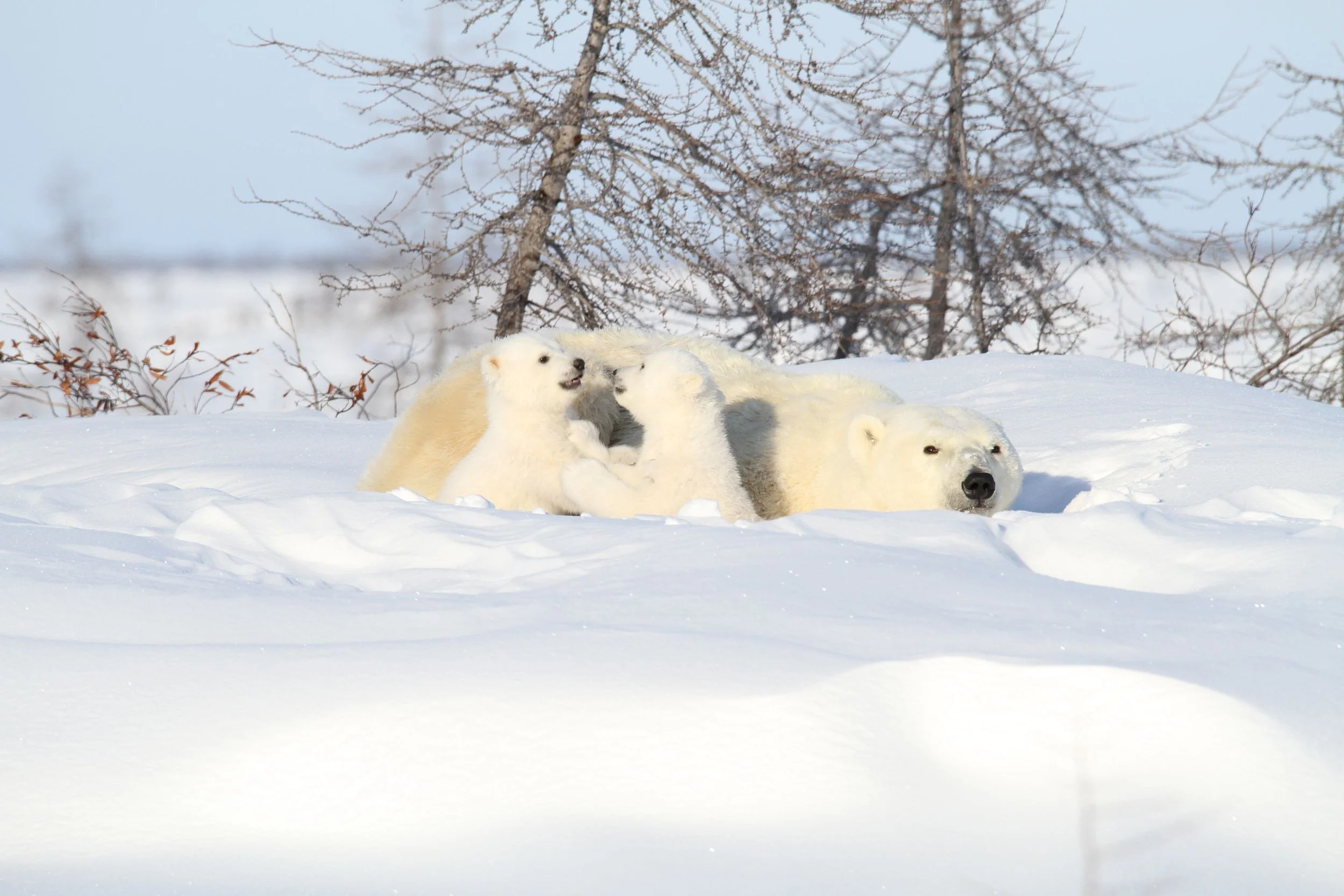 Solo-Exhibition-2026-IMG_9393