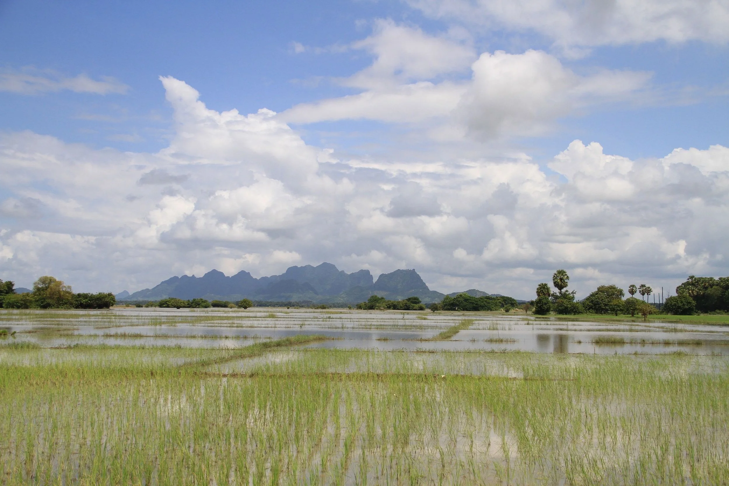 Solo-Exhibition-2026 Burma 1 October 2016 136