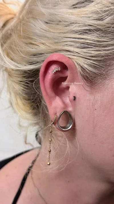 Close-up of a person's ear with multiple piercings and jewelry, including a triple helix piercing with a small decorative ring, a conch piercing with a black hoop, and an earlobe with a large hoop earring and a dangling chain earring.